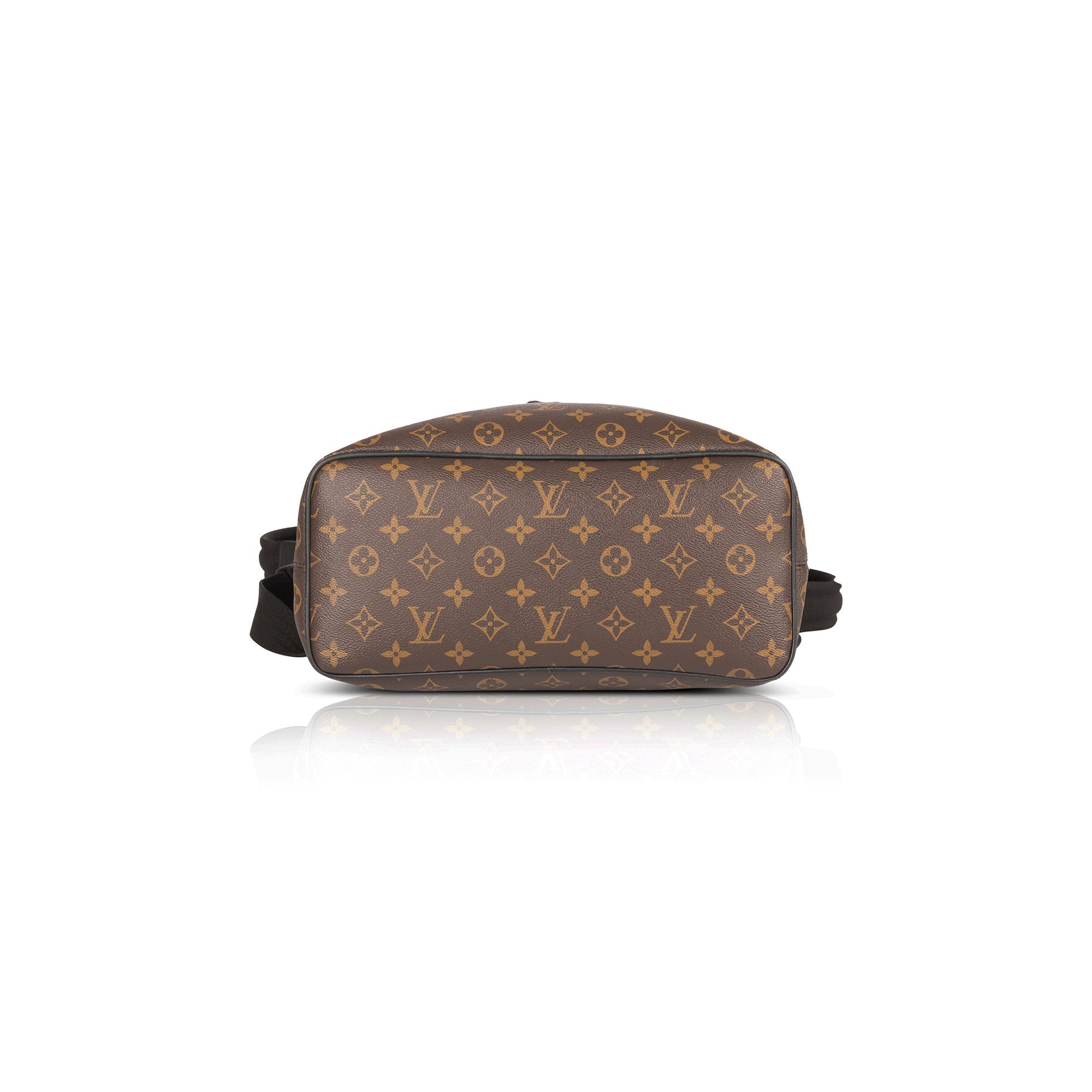 Louis Vuitton Monogram Macassar Palk Backpack