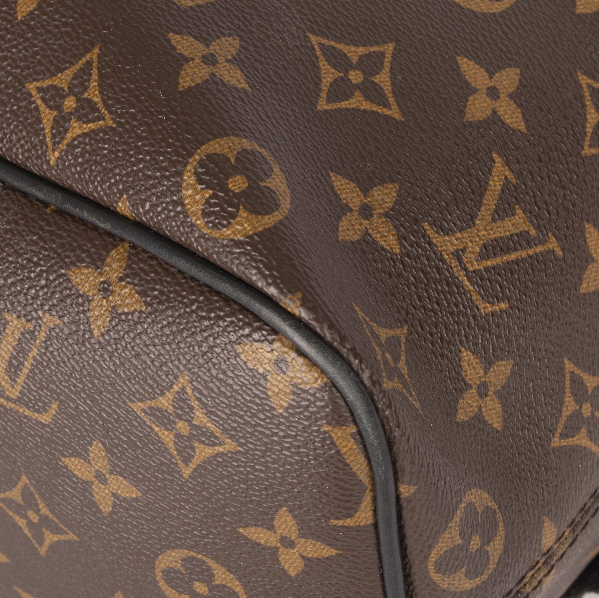 Louis Vuitton Monogram Macassar Palk Backpack