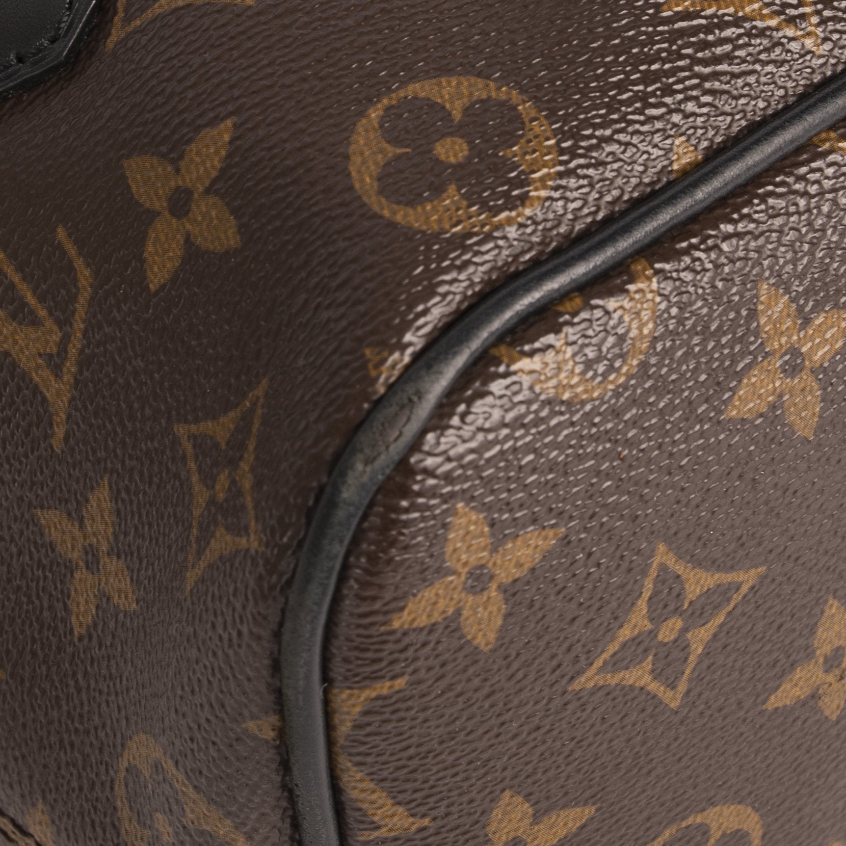 Louis Vuitton Monogram Macassar Palk Backpack