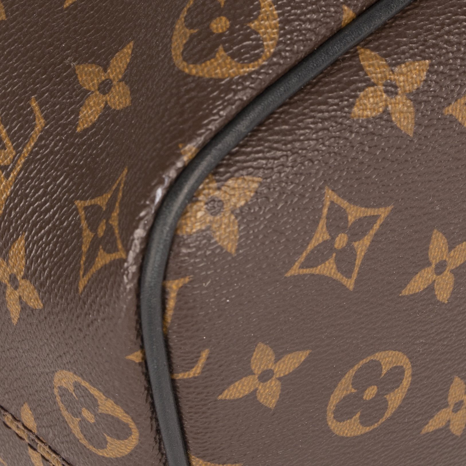 Louis Vuitton Monogram Macassar Palk Backpack