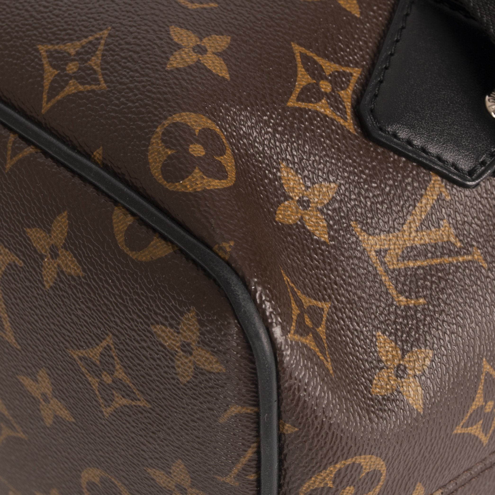 Louis Vuitton Monogram Macassar Palk Backpack