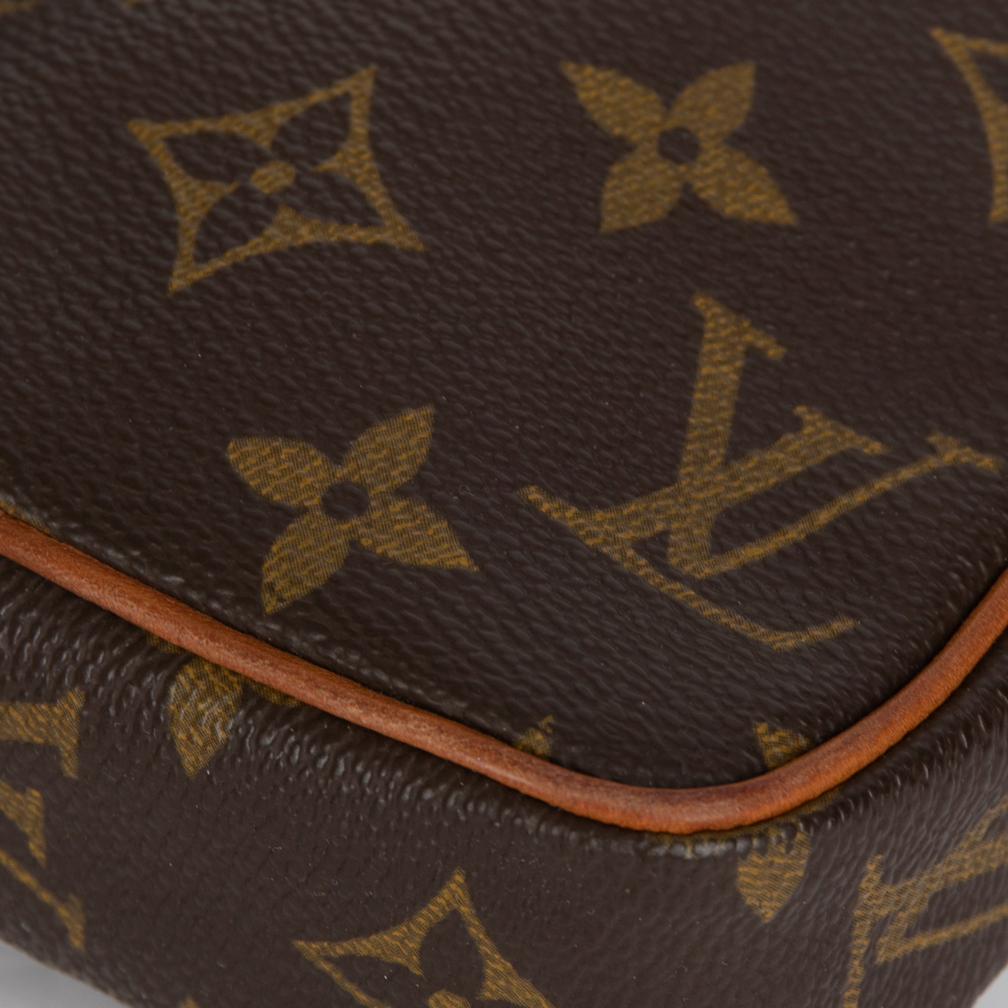 Louis Vuitton Monogram Mini Danube