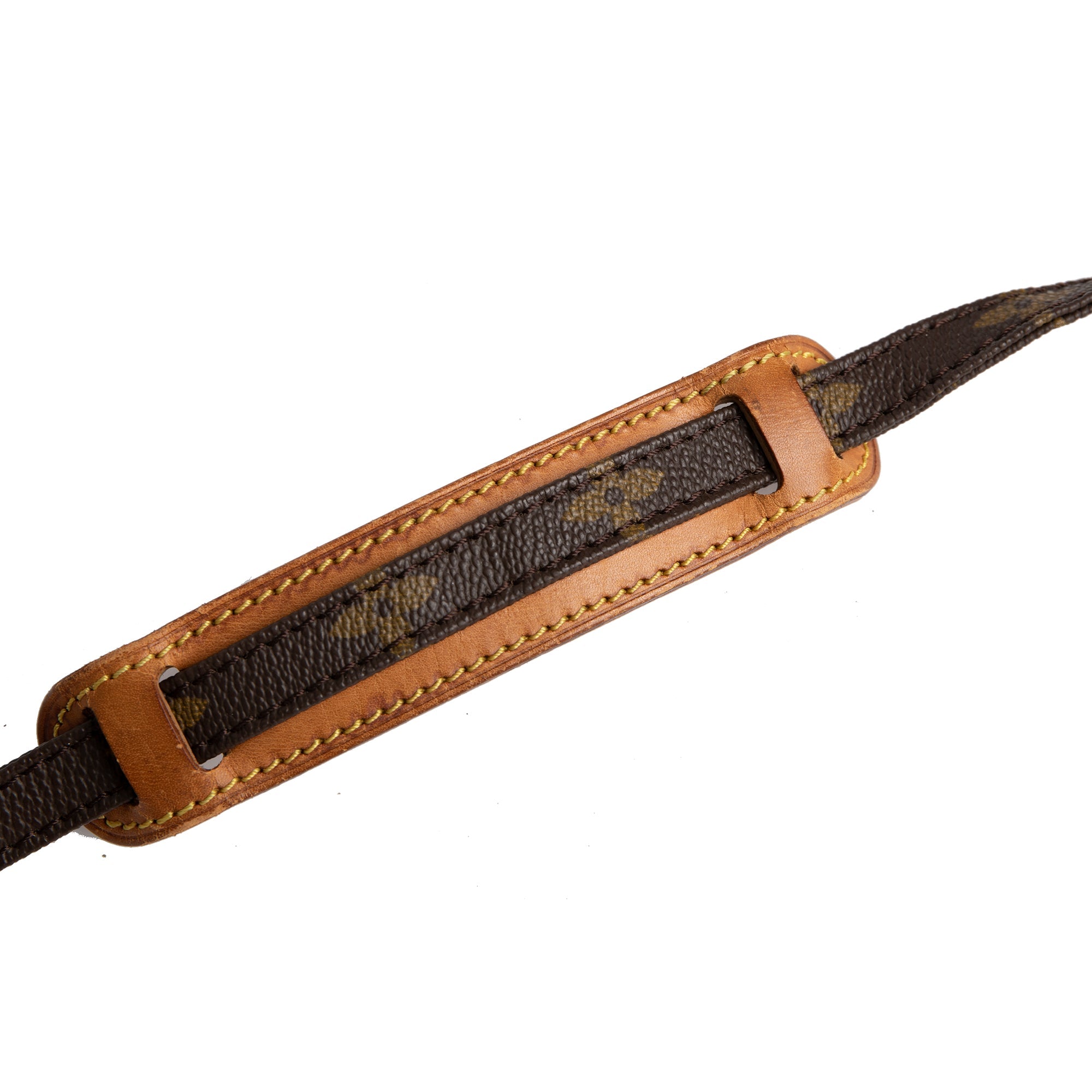 Louis Vuitton Monogram Mini Danube