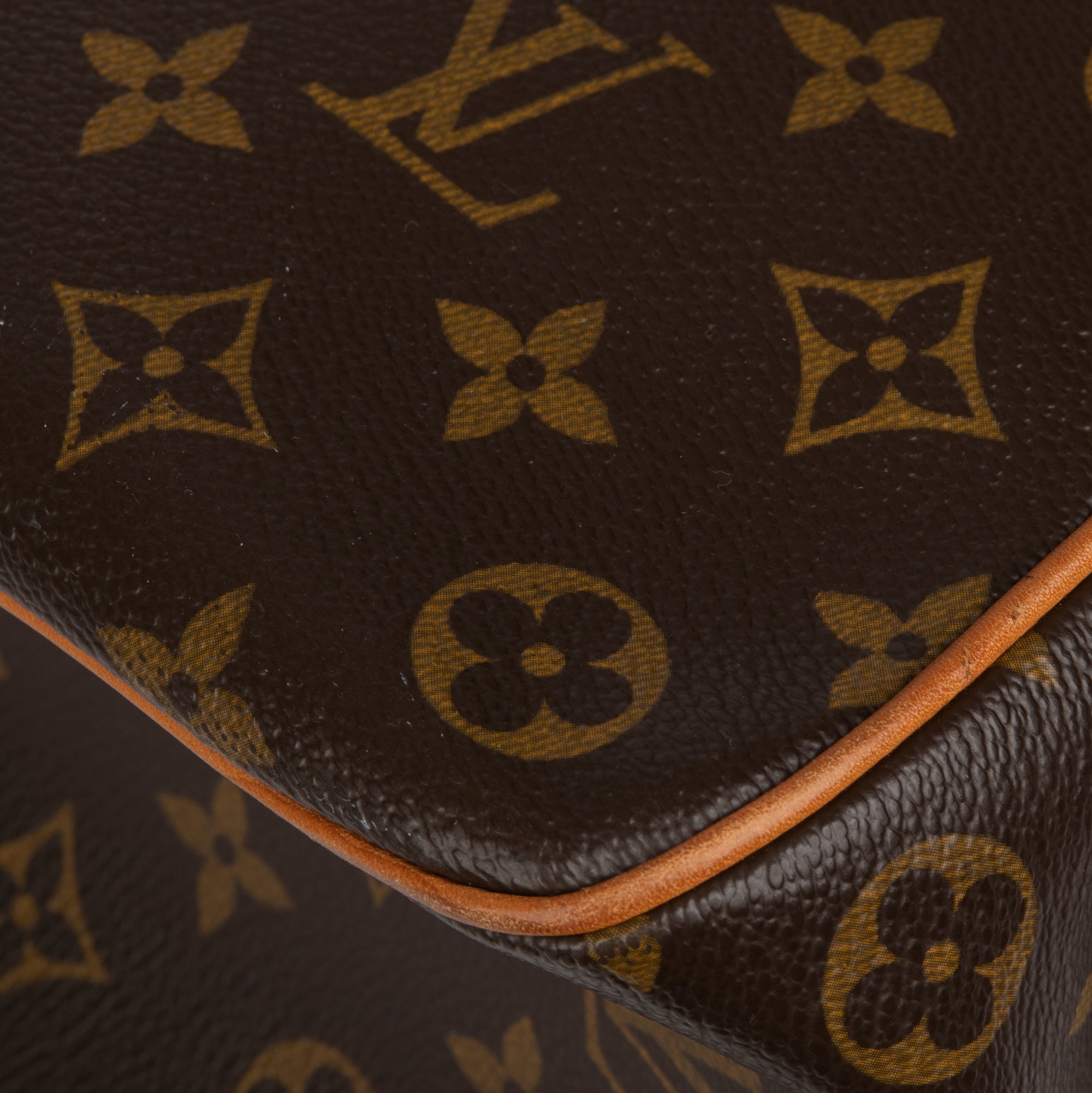 Louis Vuitton Monogram Multipli-Cite