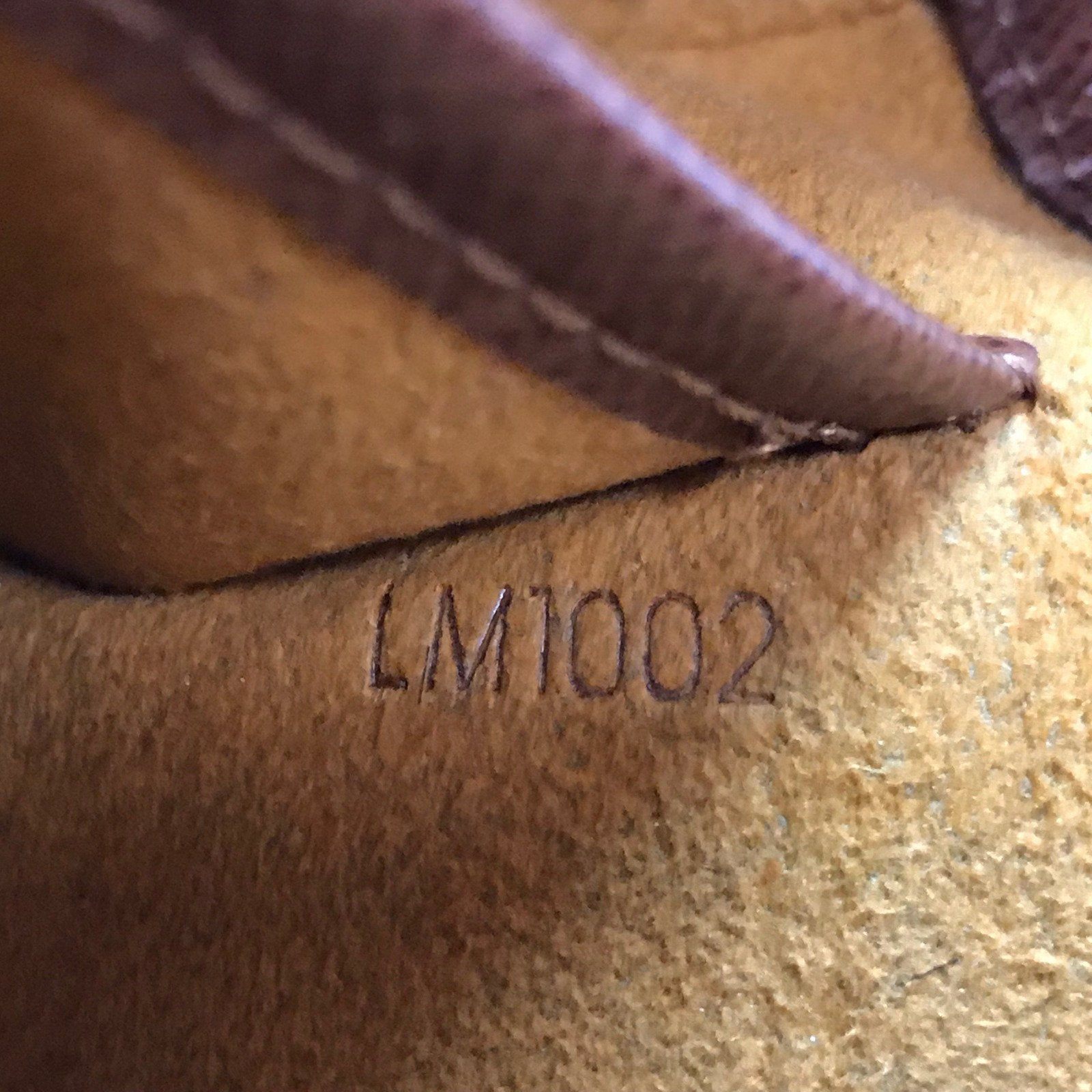 Louis Vuitton Monogram Mussette Tango