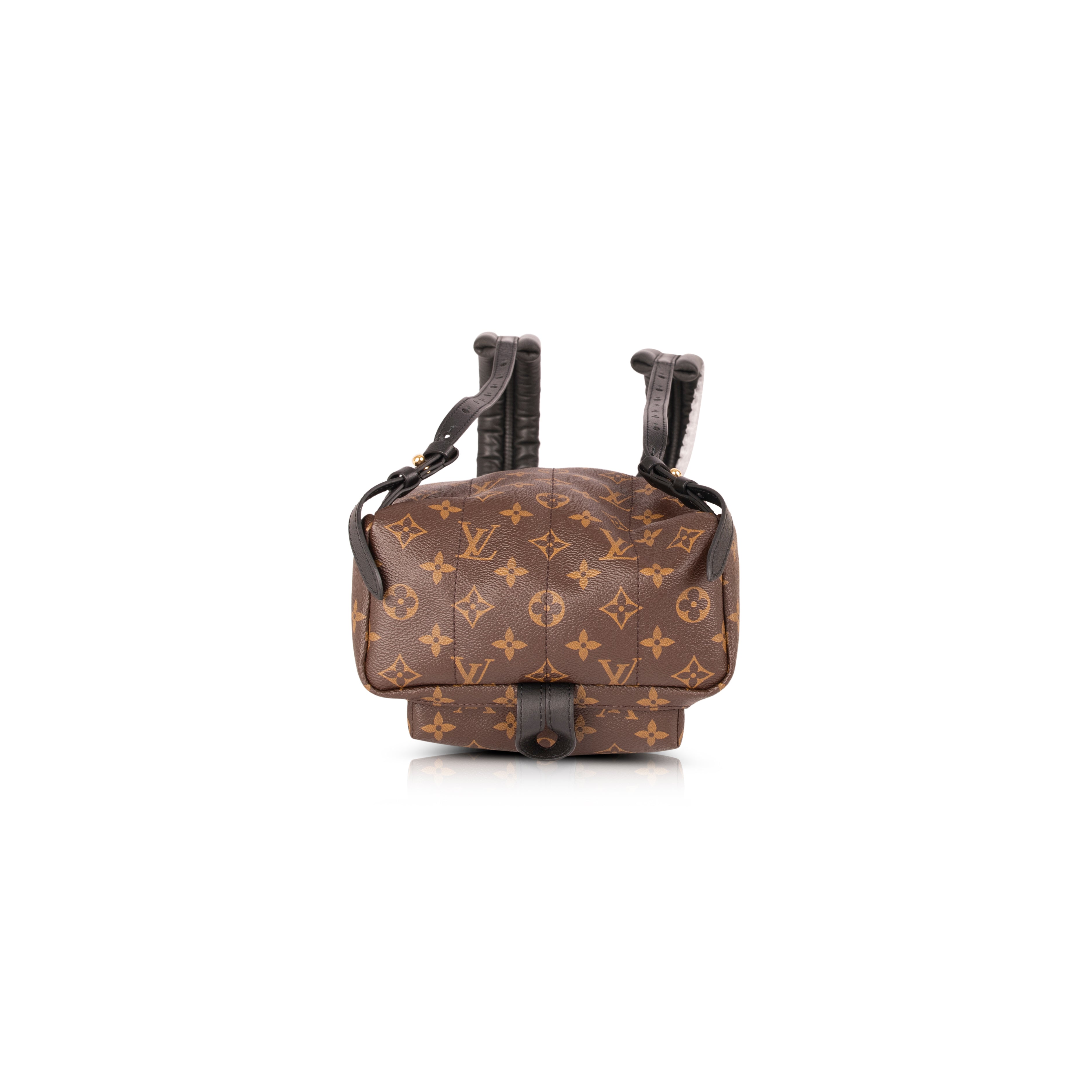 Louis Vuitton Monogram Palm Springs Backpack PM