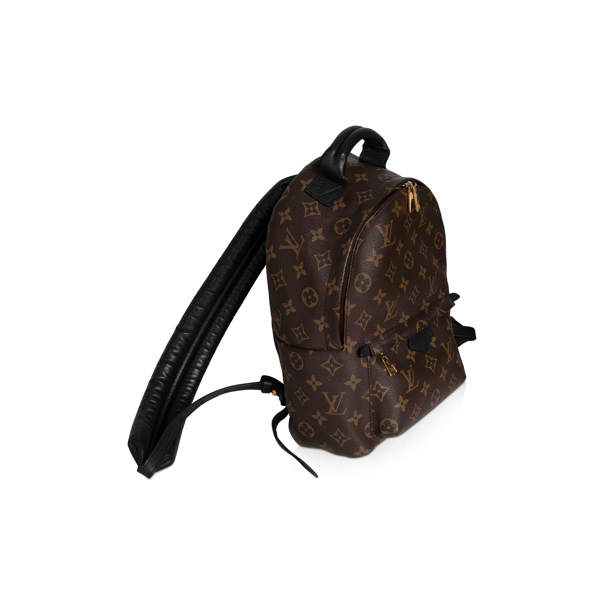 Louis Vuitton Monogram Palm Springs Backpack PM w/ Box
