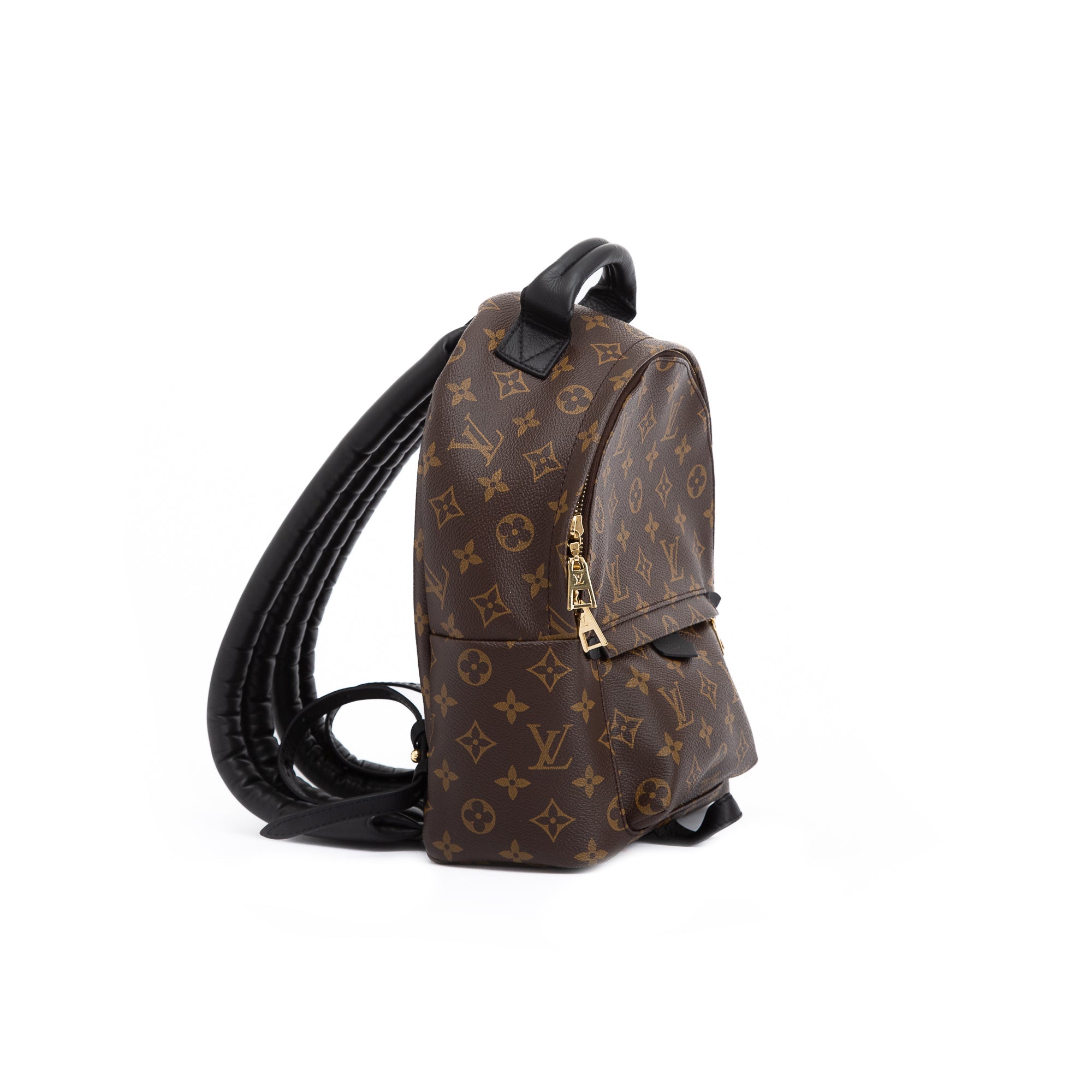 Louis Vuitton Monogram Palm Springs Backpack PM w/ Box
