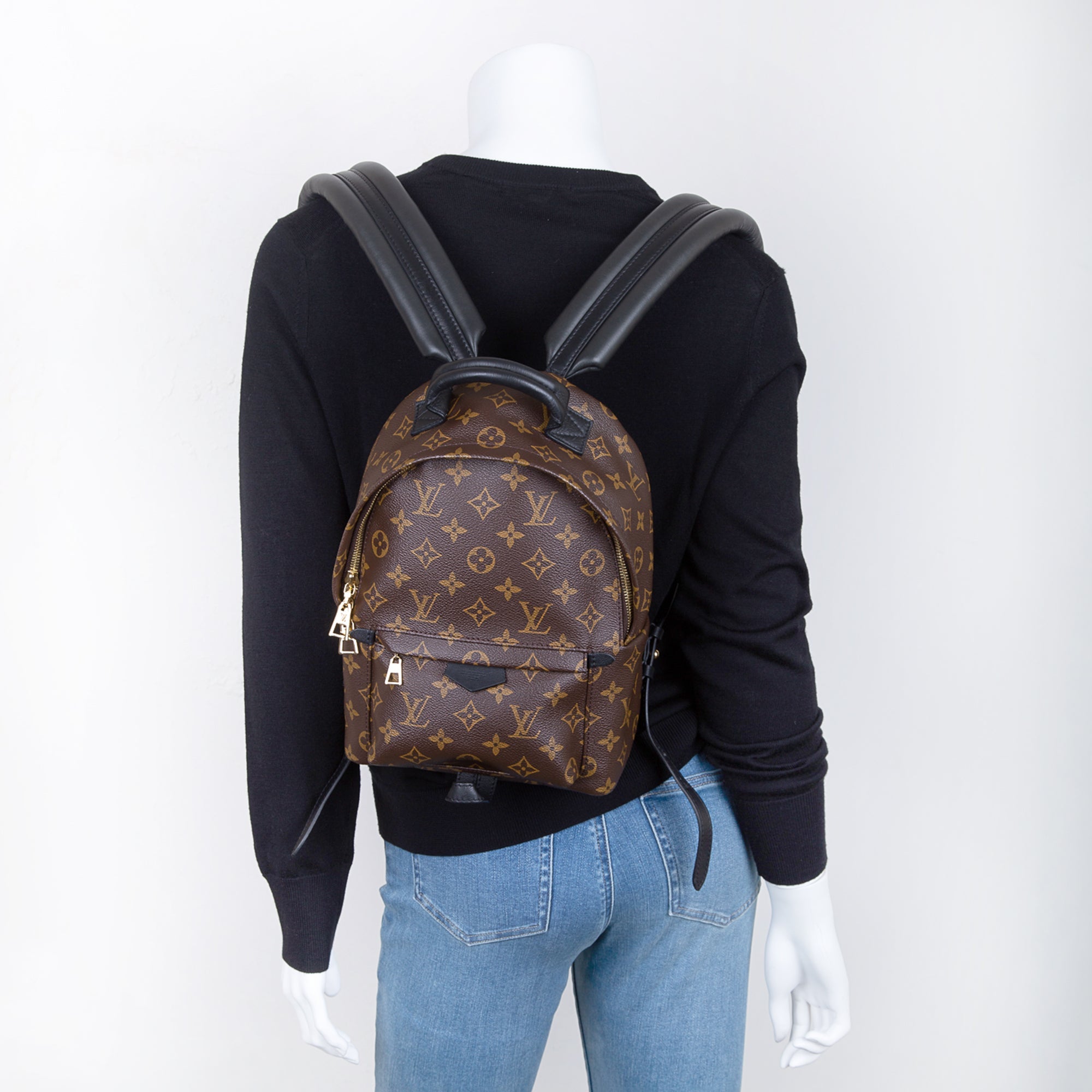 Louis Vuitton Monogram Palm Springs Backpack PM w/ Box