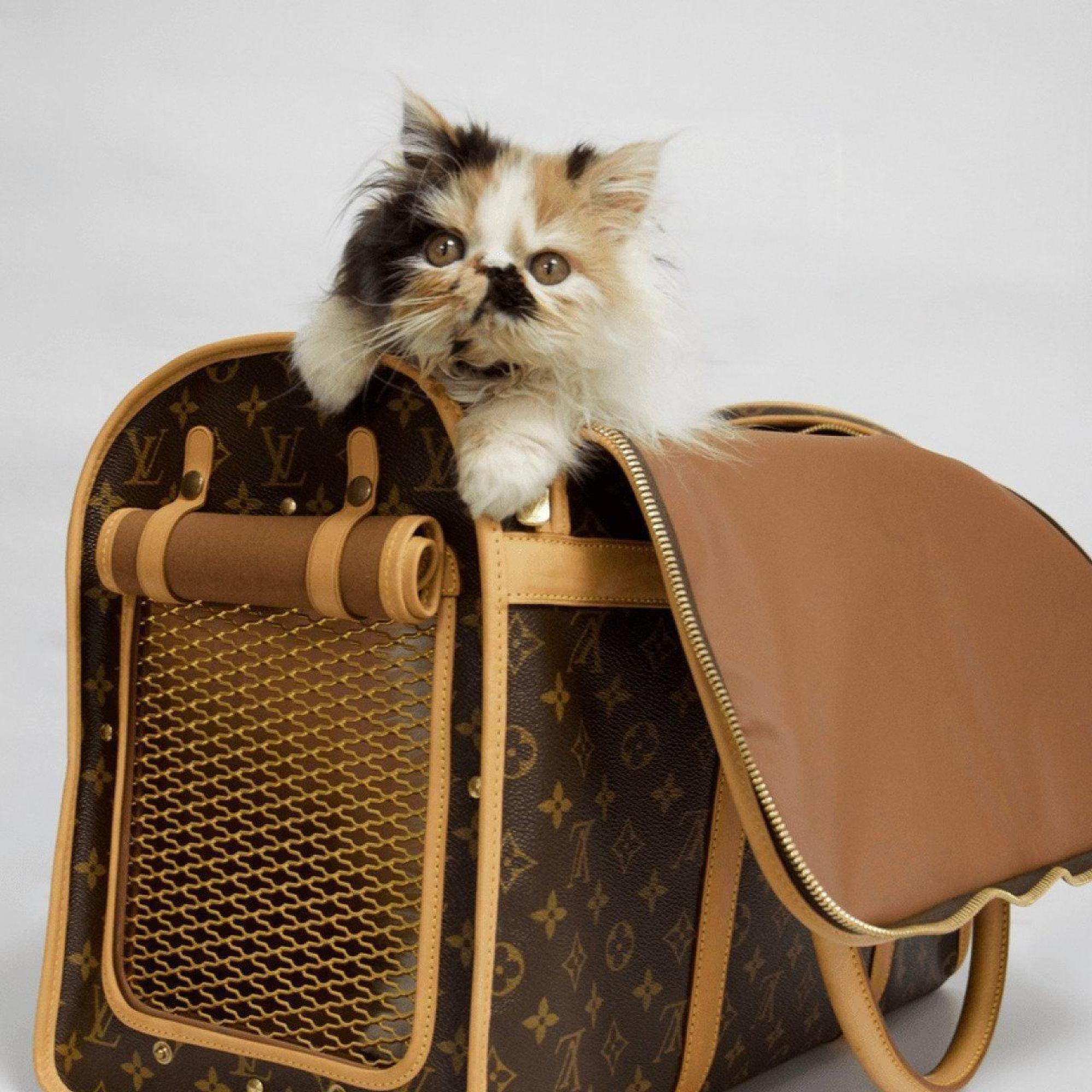Louis Vuitton Monogram Pet Carrier 50