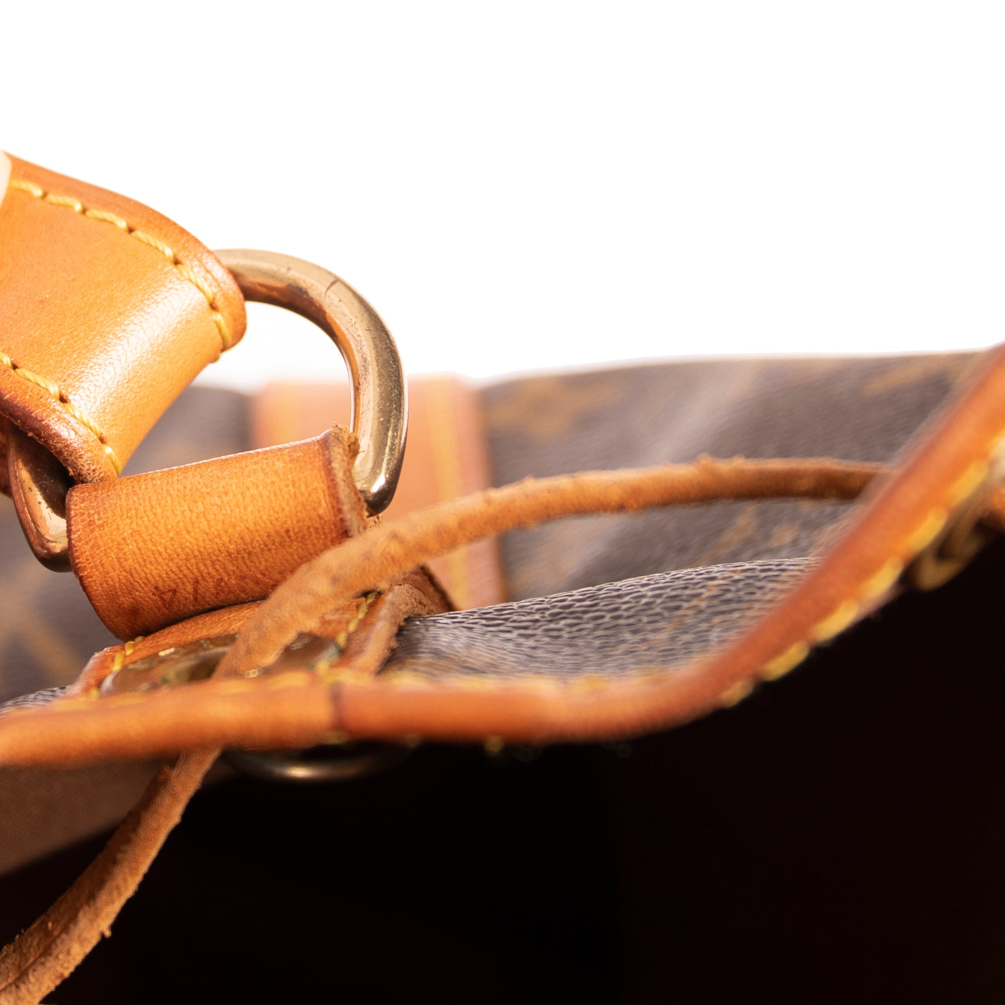 Louis Vuitton Monogram Petit Noe Bag