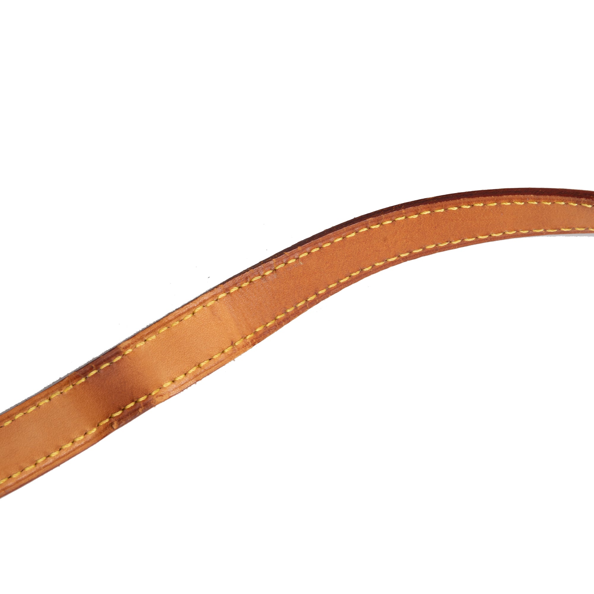 Louis Vuitton Monogram Sologne Crossbody Bag