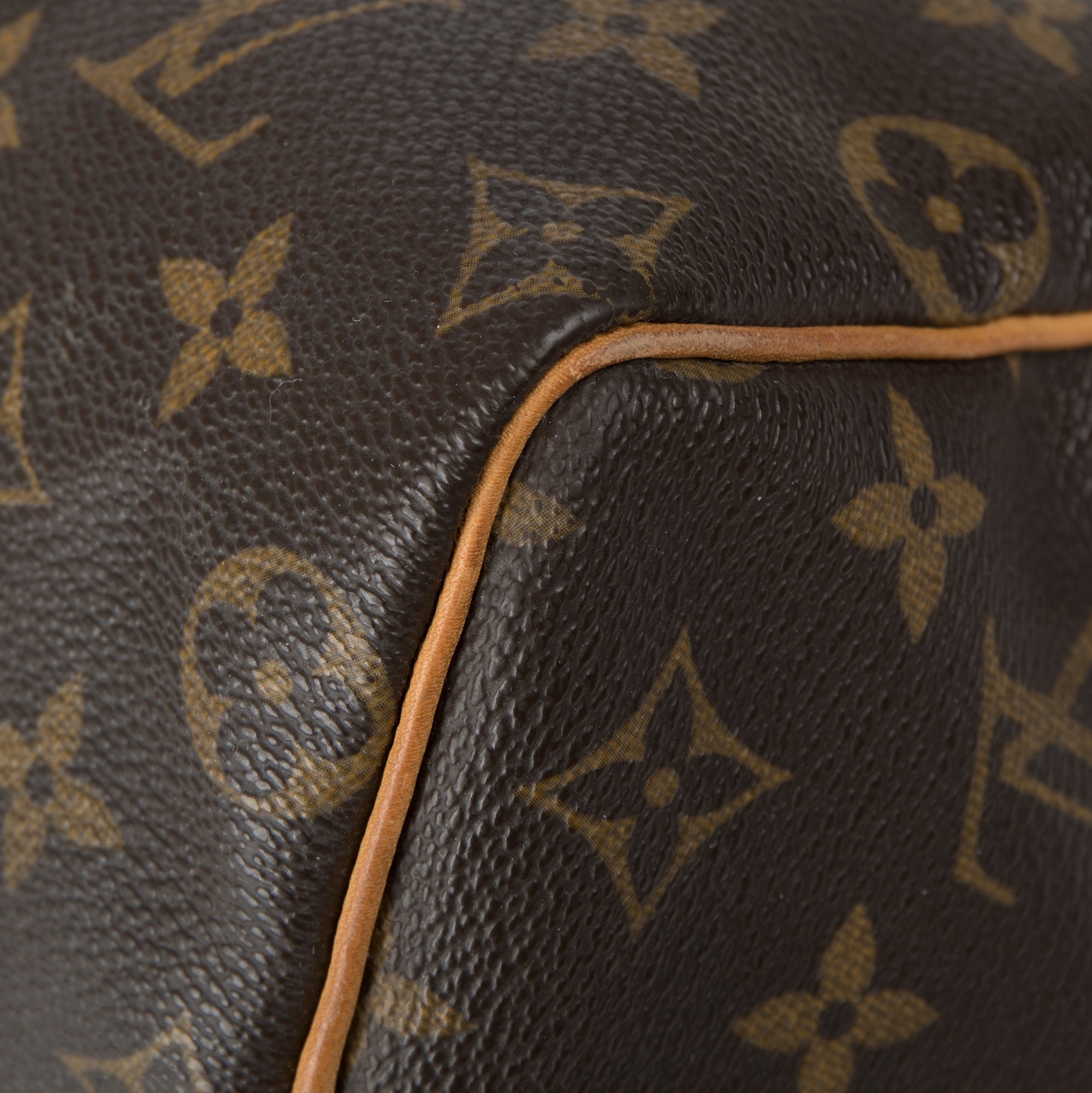 Louis Vuitton Monogram Speedy 25