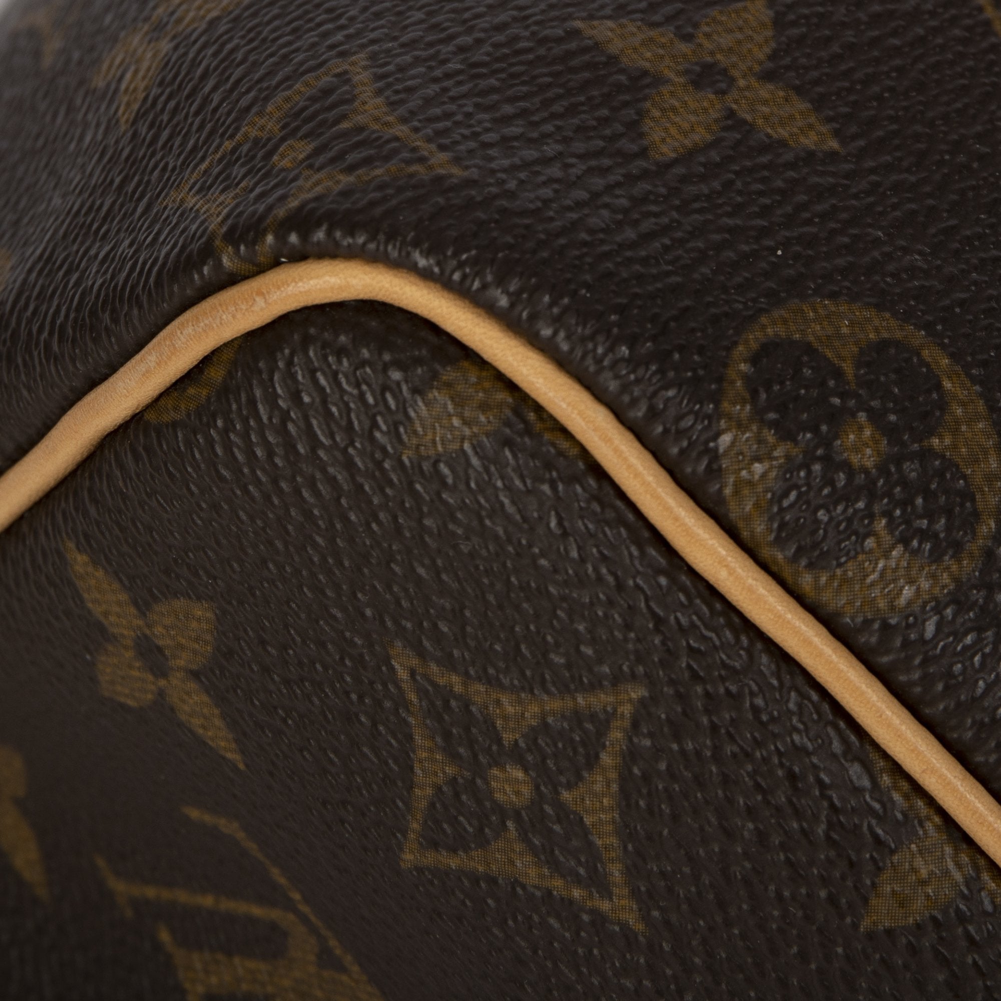 Louis Vuitton Monogram Speedy 25