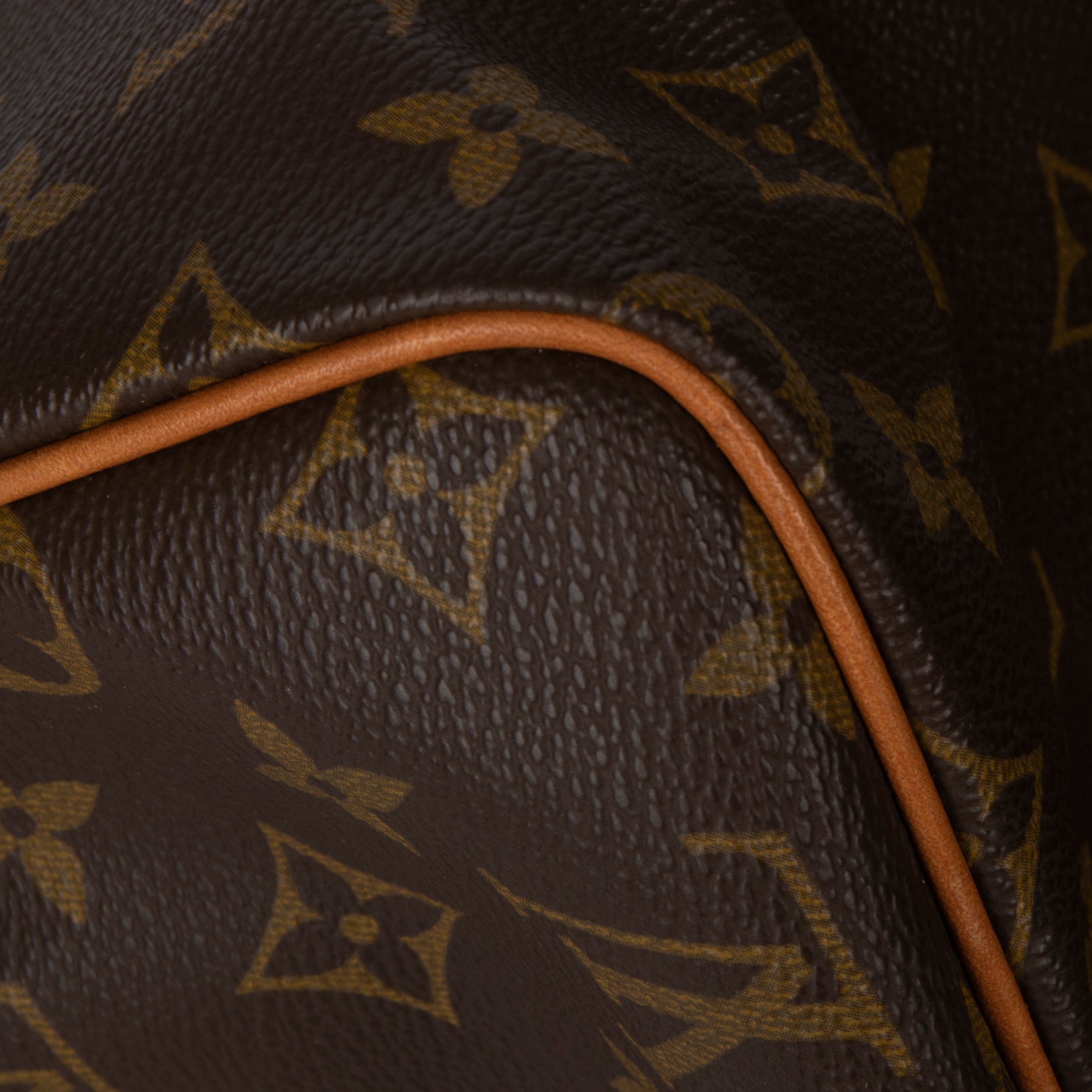 Louis Vuitton Monogram Speedy 30