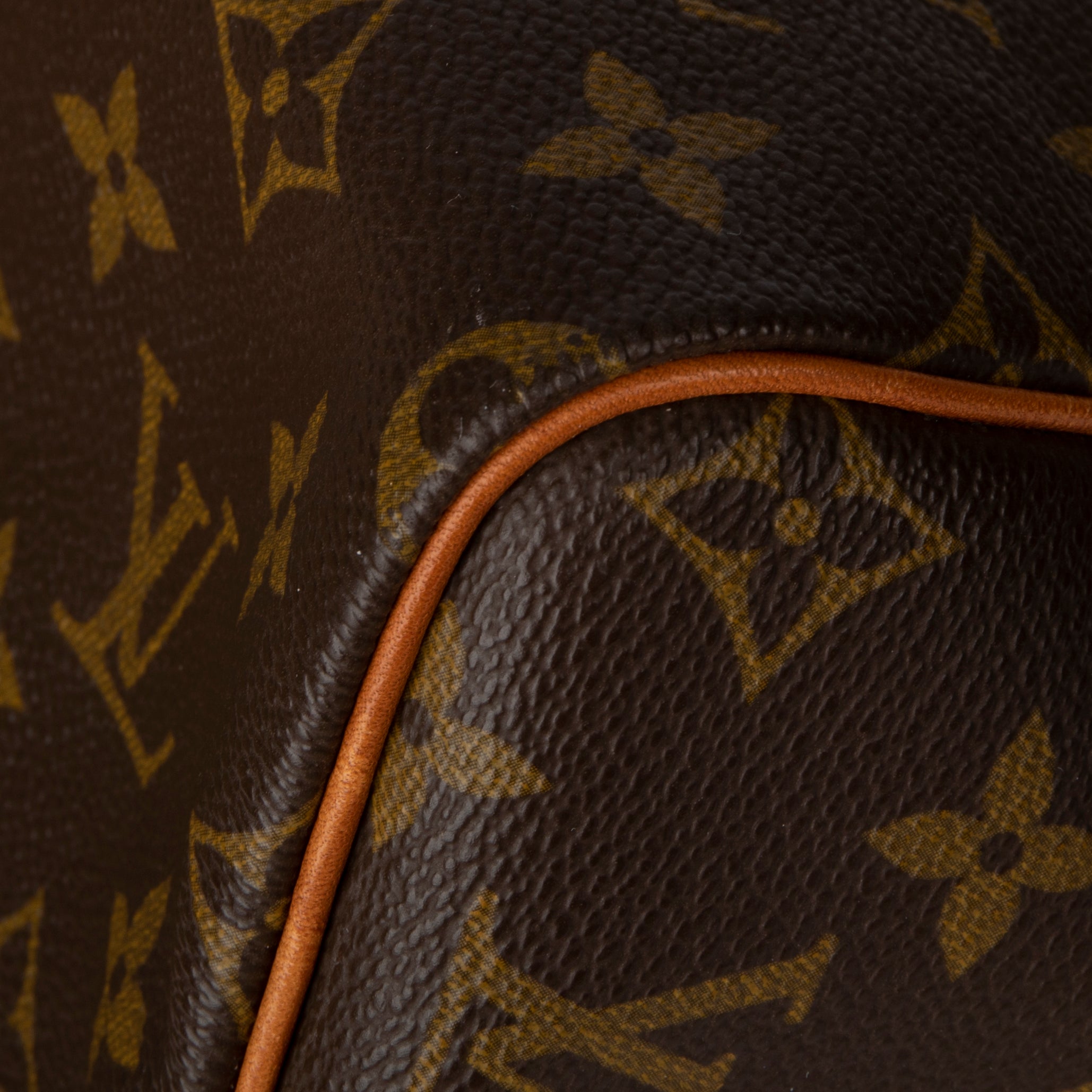 Louis Vuitton Monogram Speedy 30