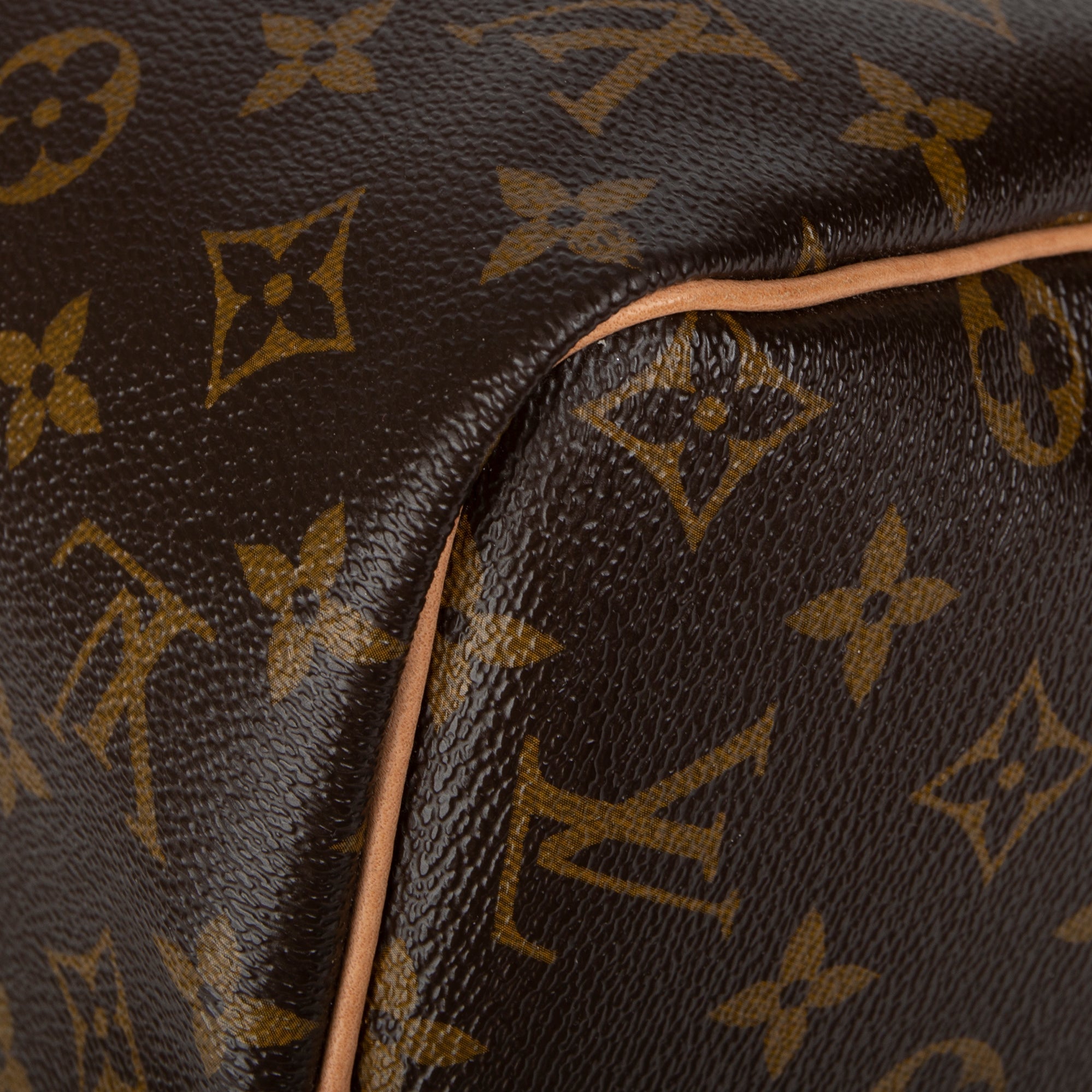 Louis Vuitton Monogram Speedy 30