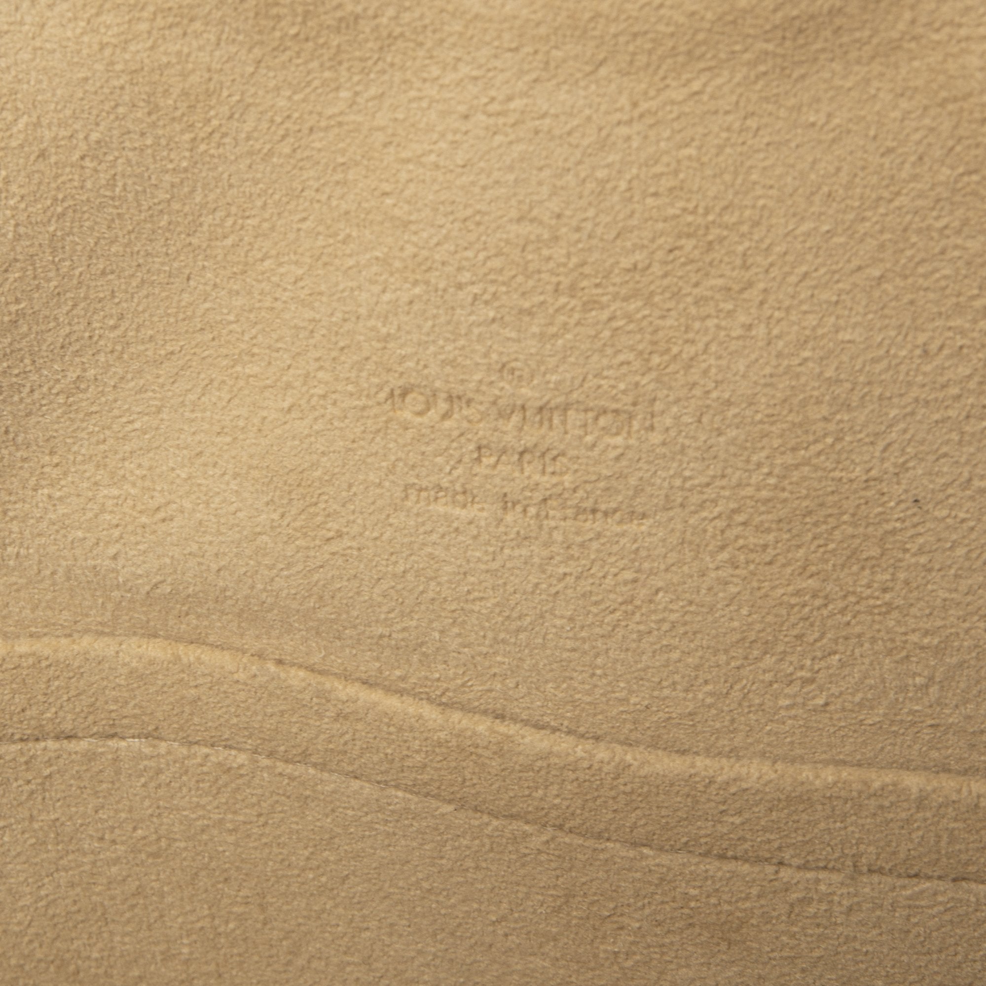 Louis Vuitton Monogram Theda PM