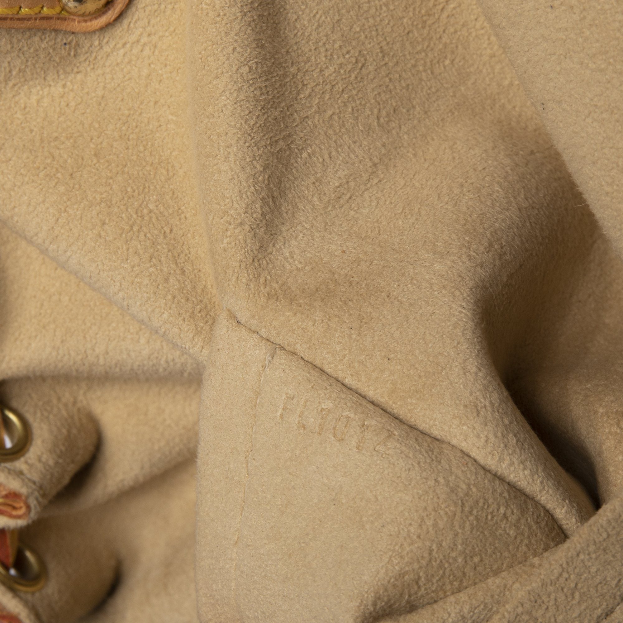 Louis Vuitton Monogram Theda PM