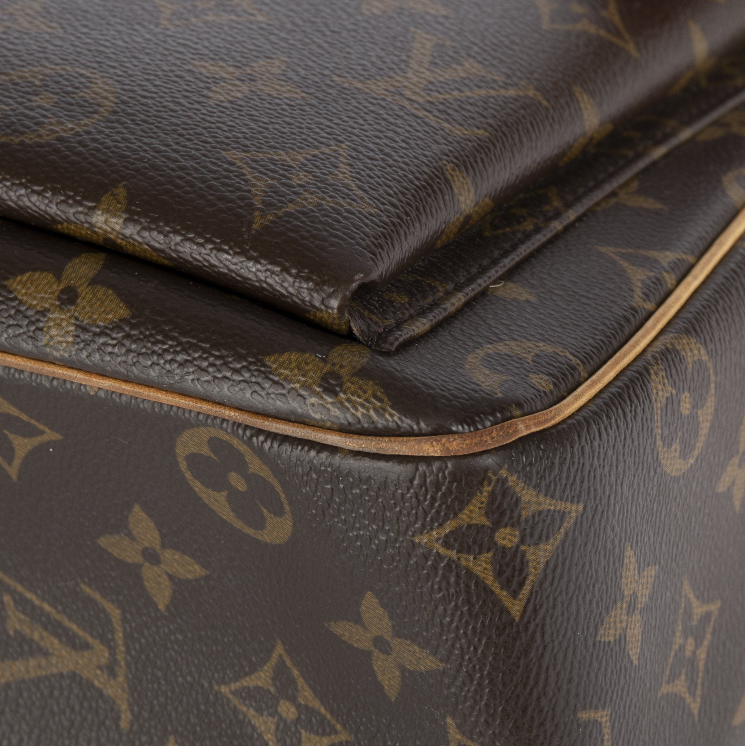 Louis Vuitton Monogram Viva Cite GM