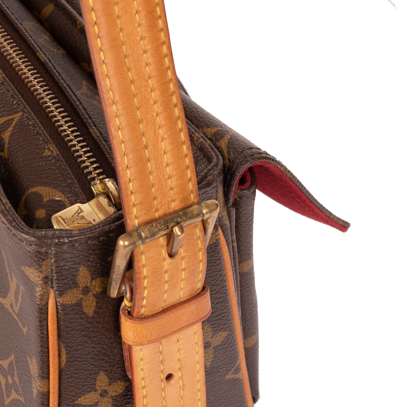 Louis Vuitton Monogram Viva Cite MM