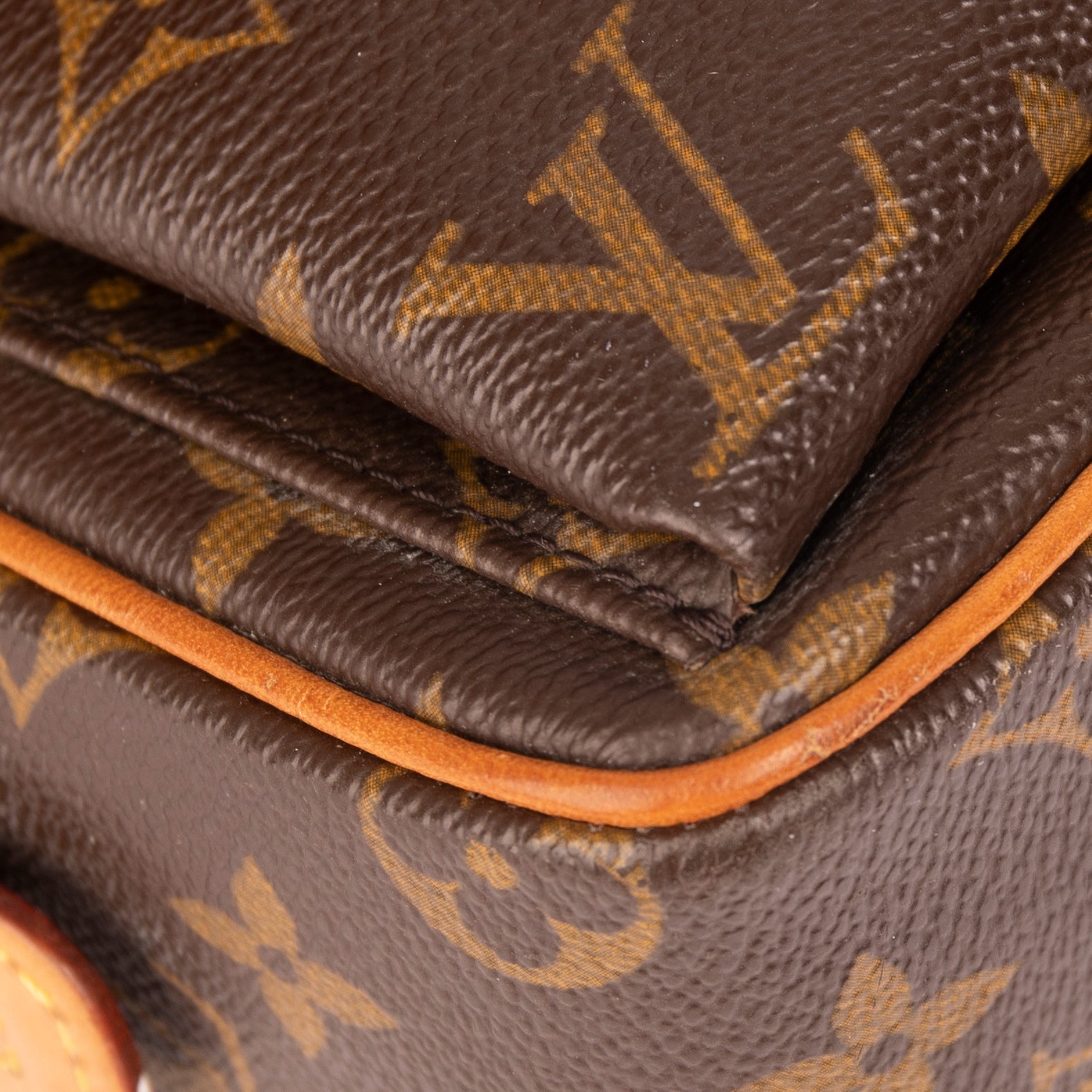 Louis Vuitton Monogram Viva Cite MM