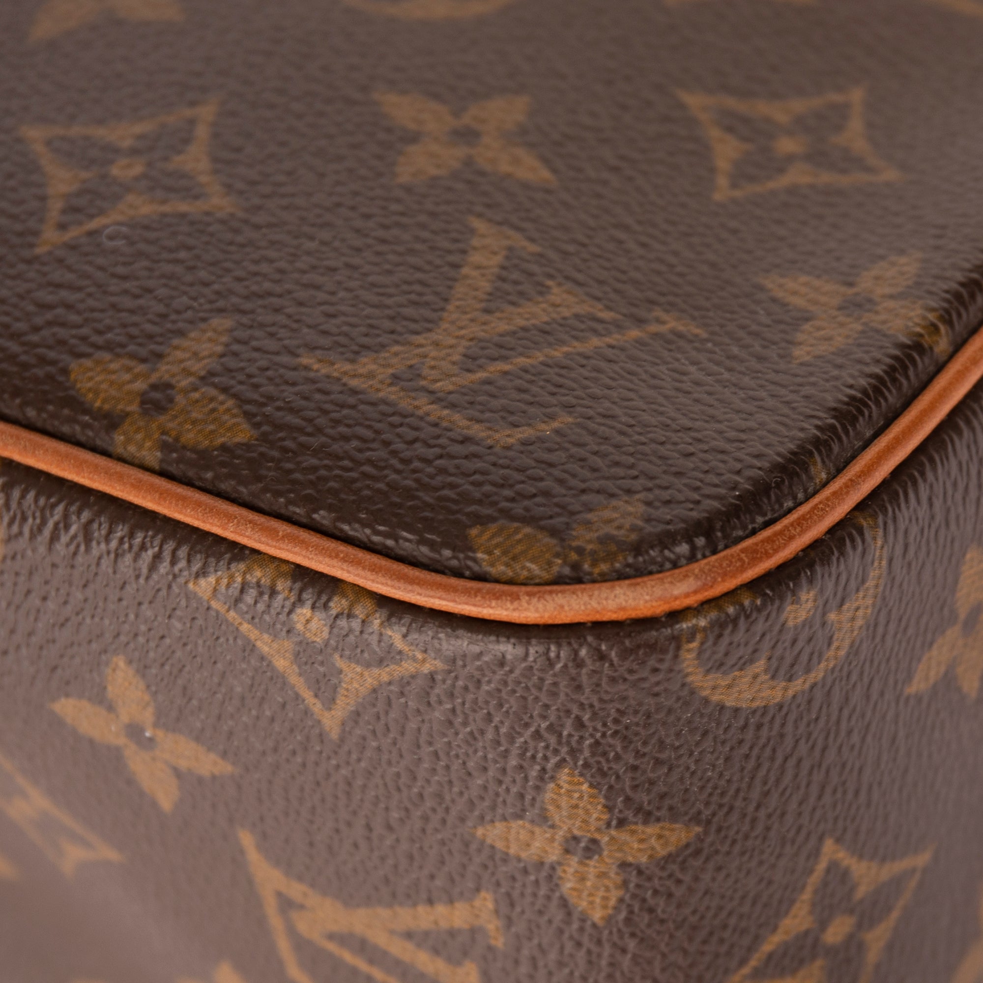 Louis Vuitton Monogram Viva Cite MM