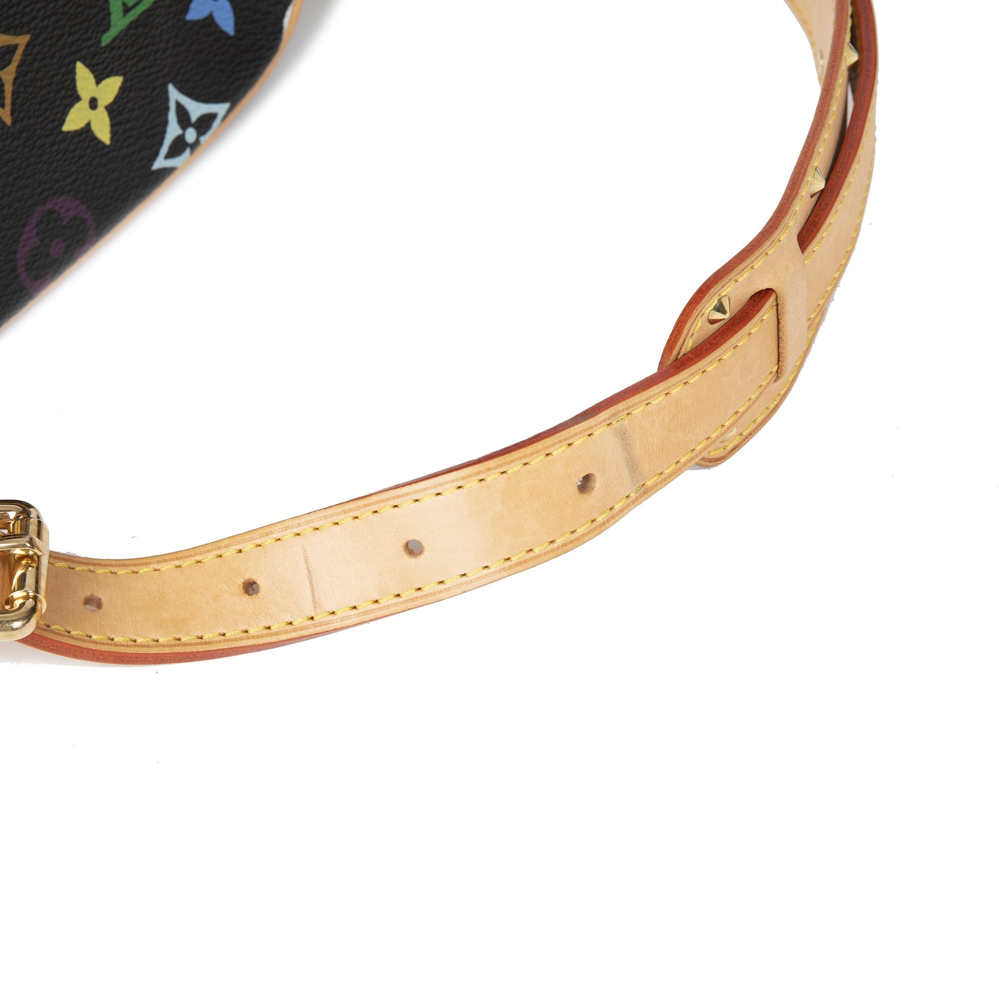 Louis Vuitton Multicolor Monogram Sologne Bag