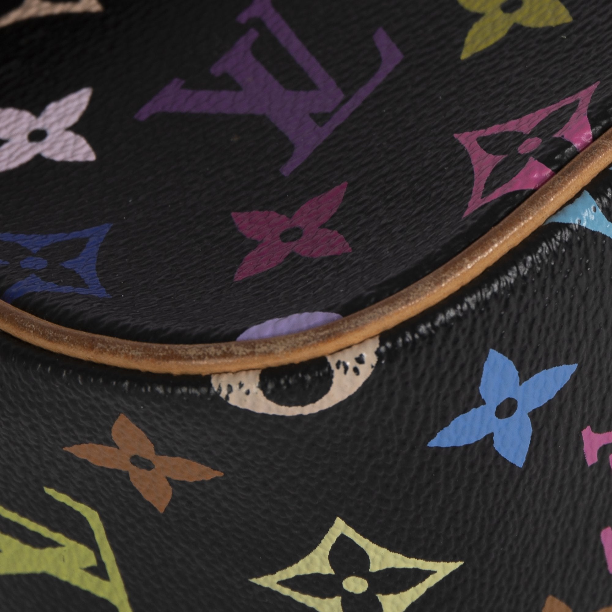 Louis Vuitton Multicolor Monogram Sologne Bag