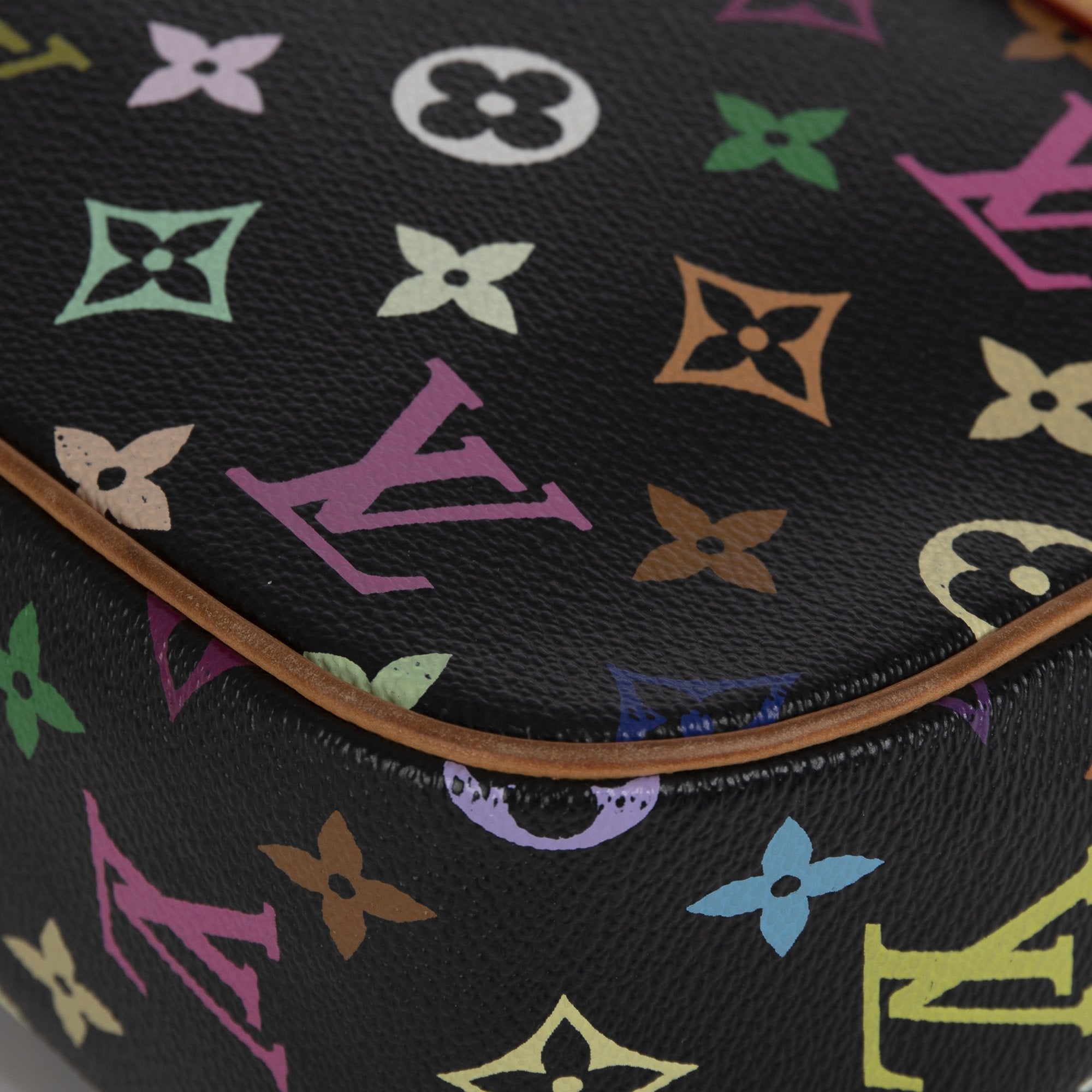 Louis Vuitton Multicolor Monogram Sologne Bag