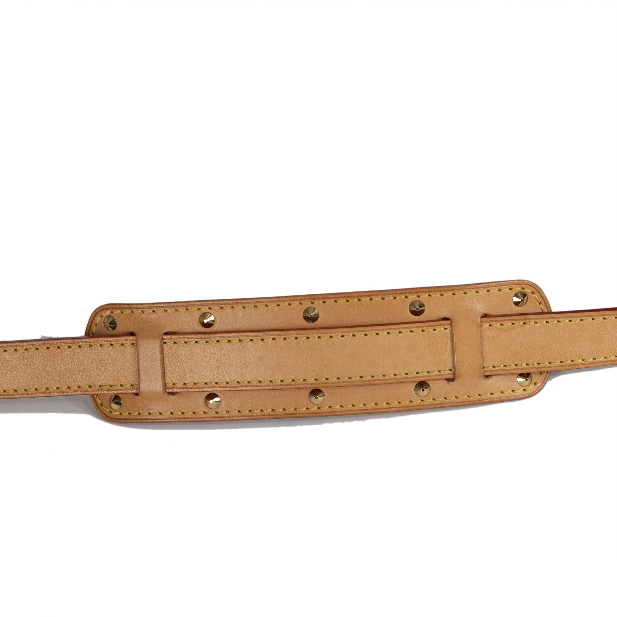 Louis Vuitton Multicolor Monogram Sologne Bag