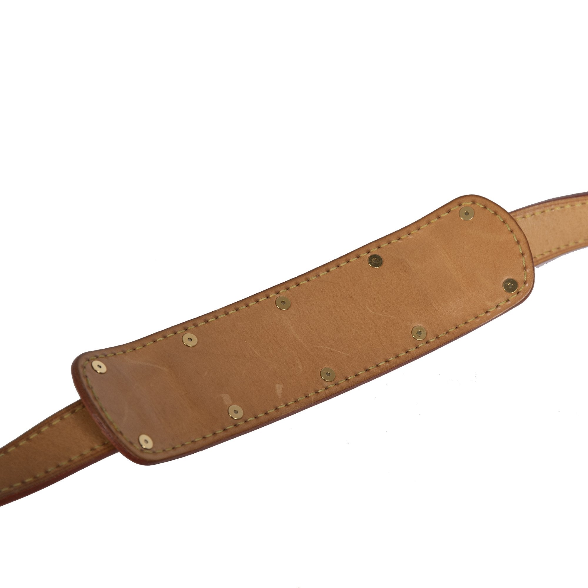 Louis Vuitton Multicolor Monogram Sologne Bag