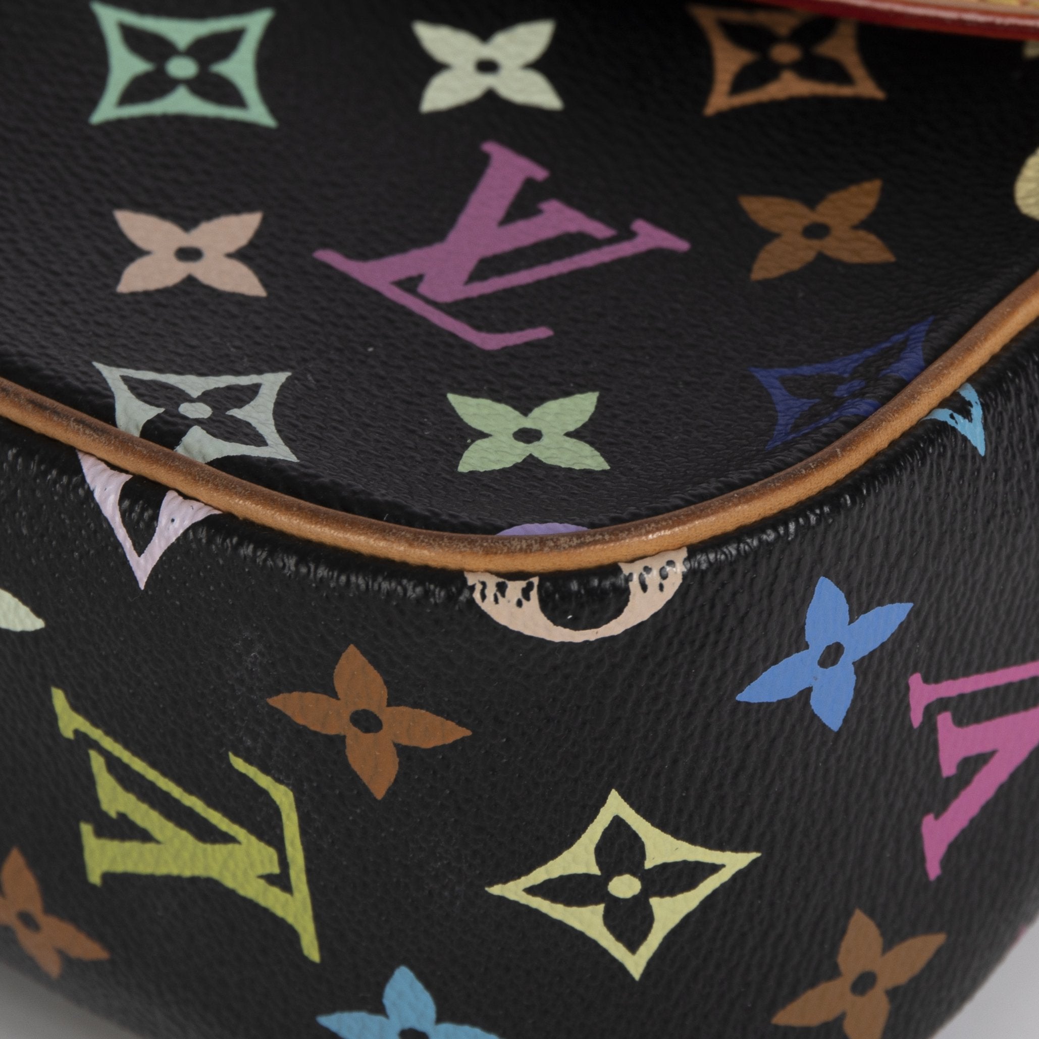 Louis Vuitton Multicolor Monogram Sologne Bag