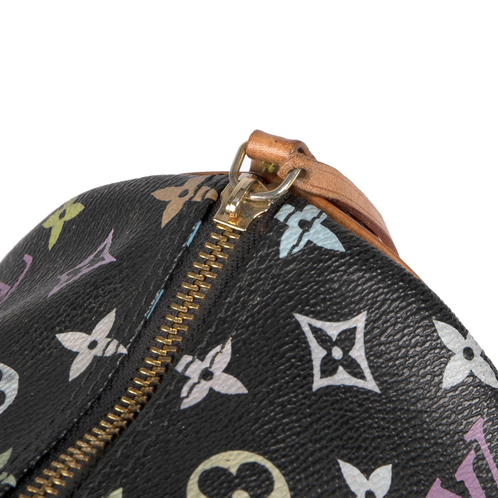 Louis Vuitton Multicolore Speedy 30