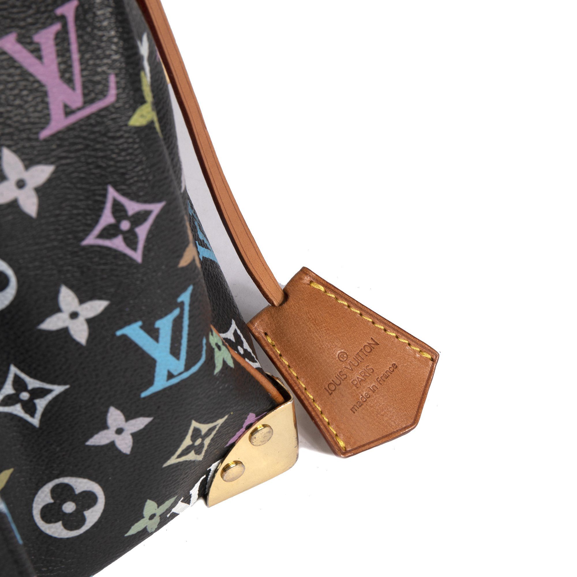 Louis Vuitton Multicolore Speedy 30