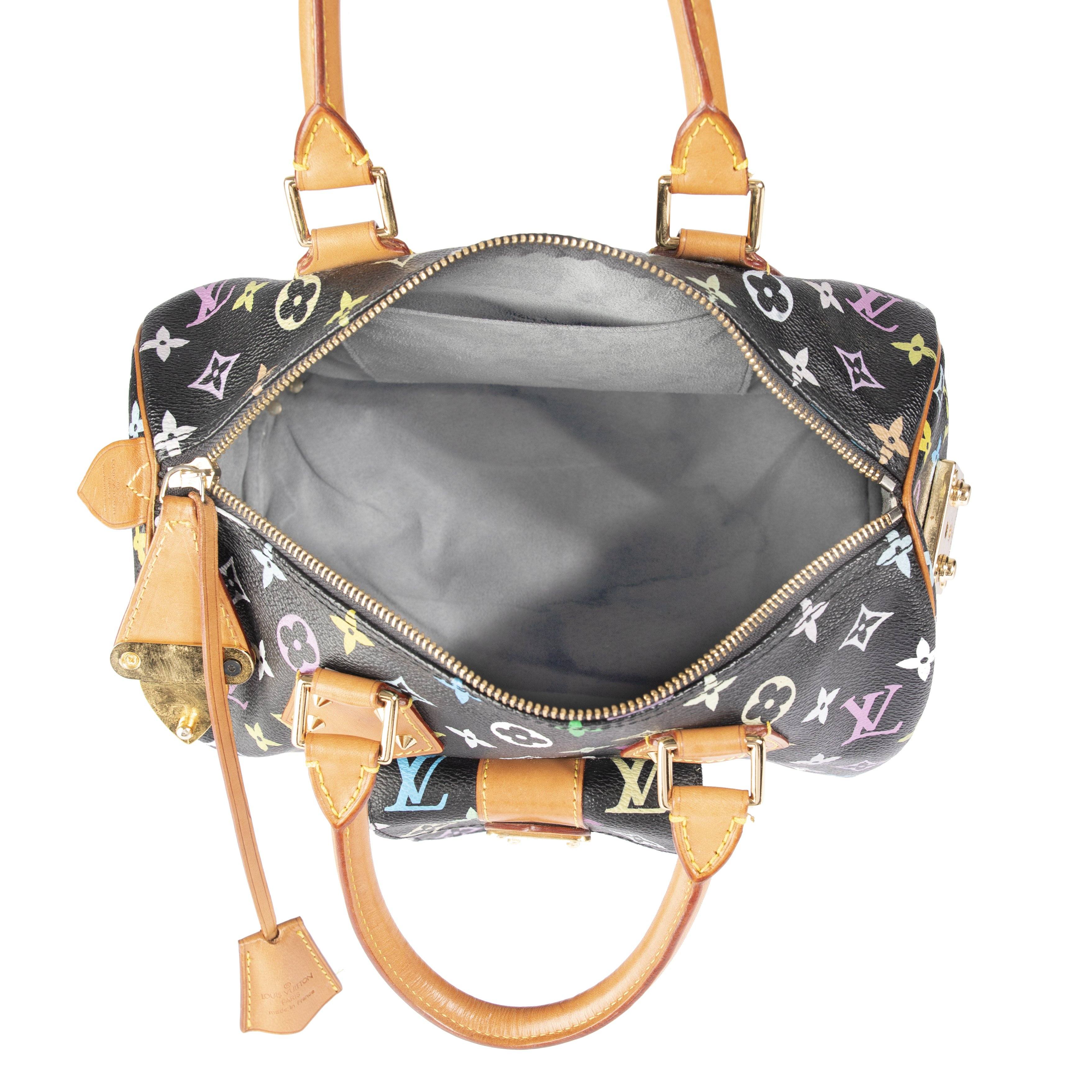 Louis Vuitton Multicolore Speedy 30