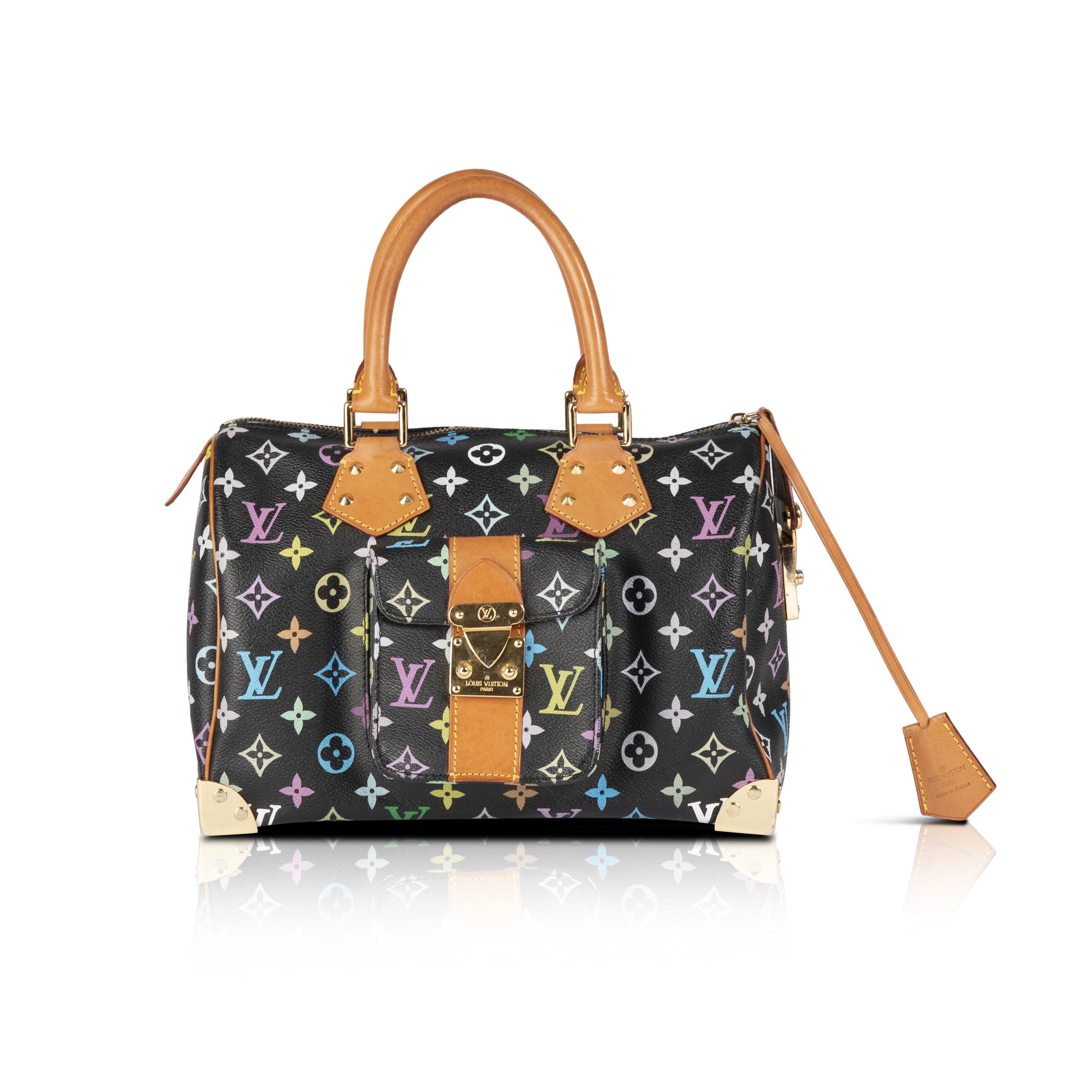 Louis Vuitton Multicolore Speedy 30