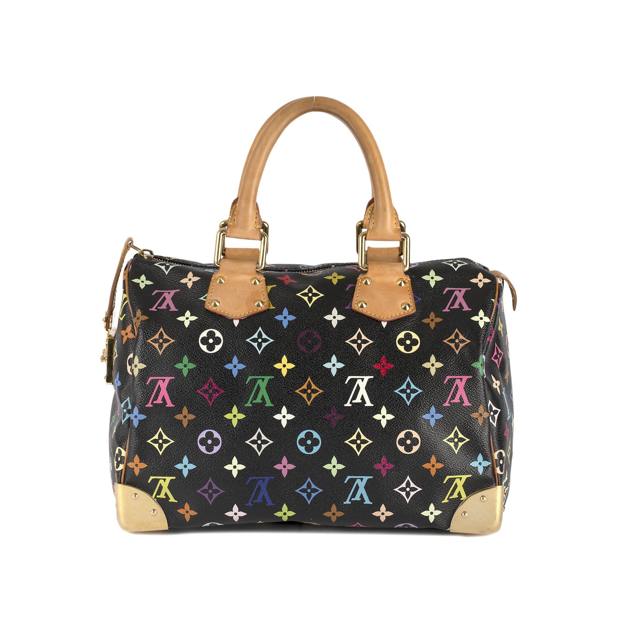 Louis Vuitton Multicolore Speedy 30