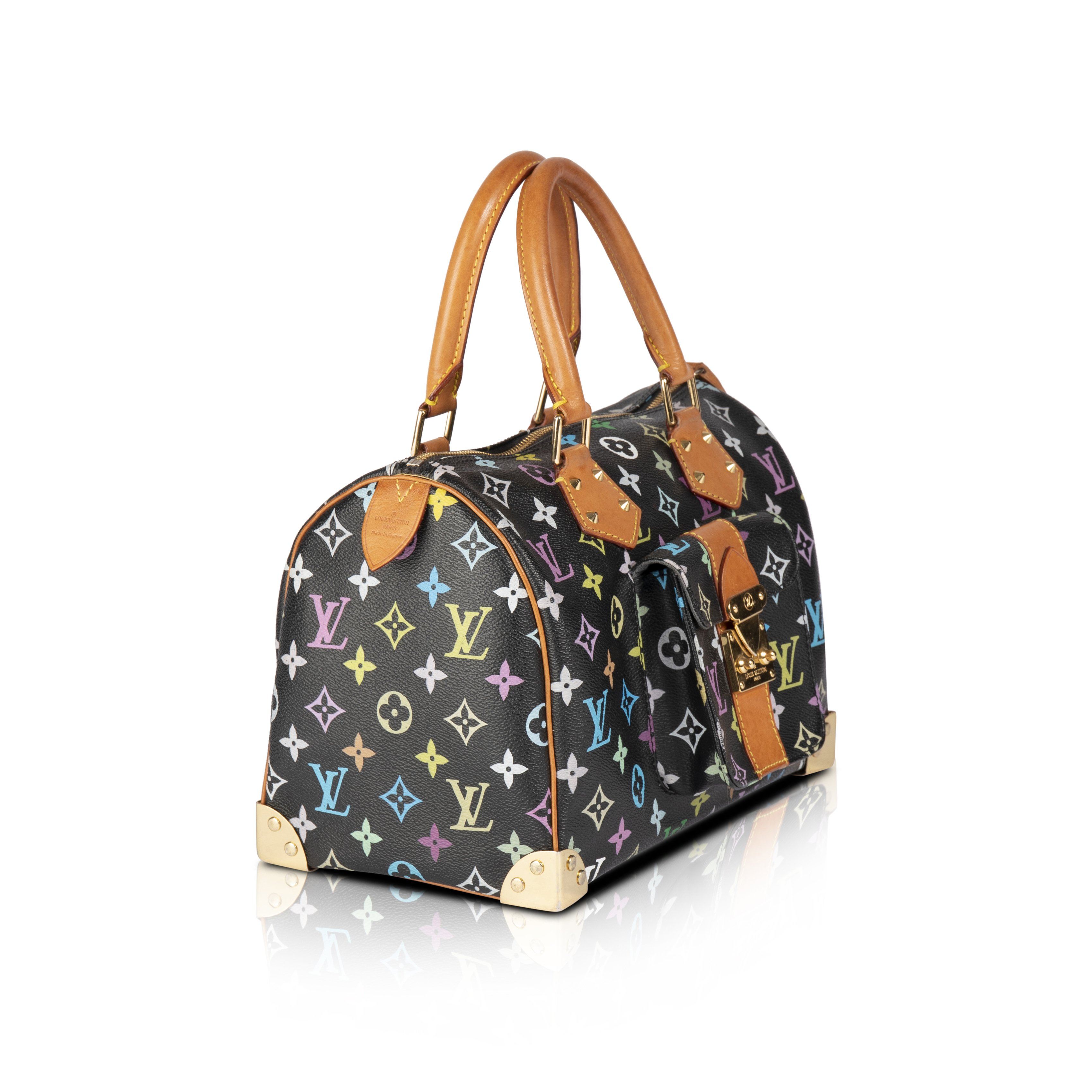 Louis Vuitton Multicolore Speedy 30