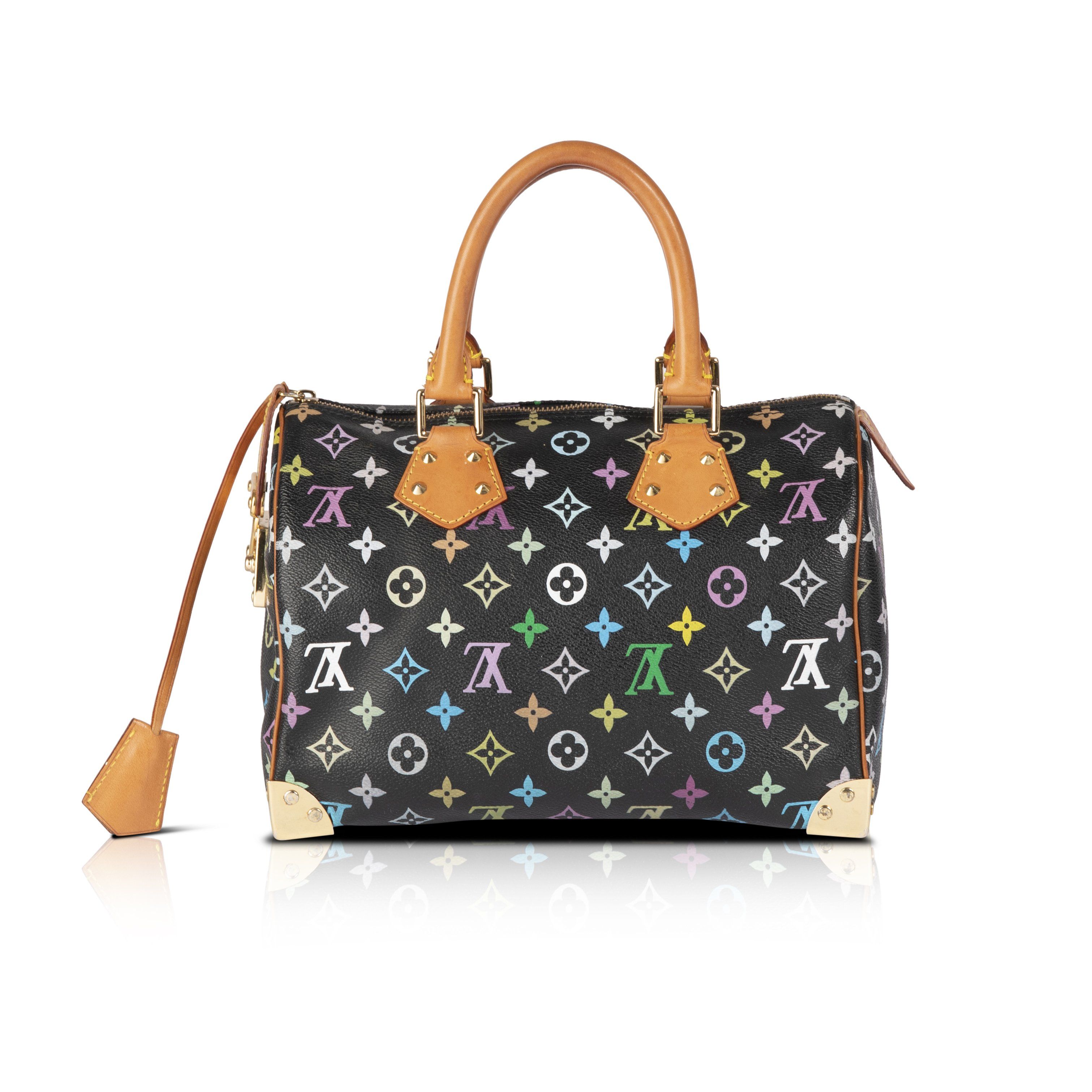 Louis Vuitton Multicolore Speedy 30