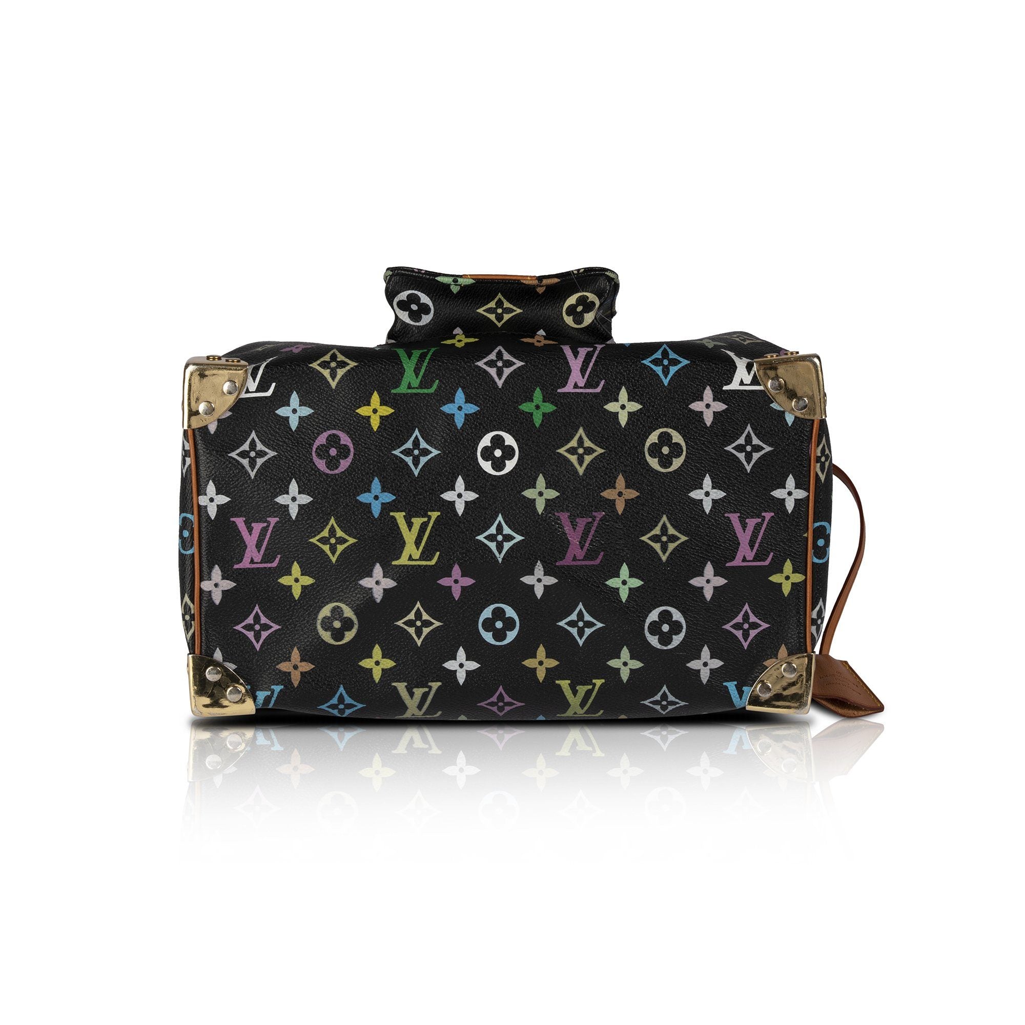 Louis Vuitton Multicolore Speedy 30