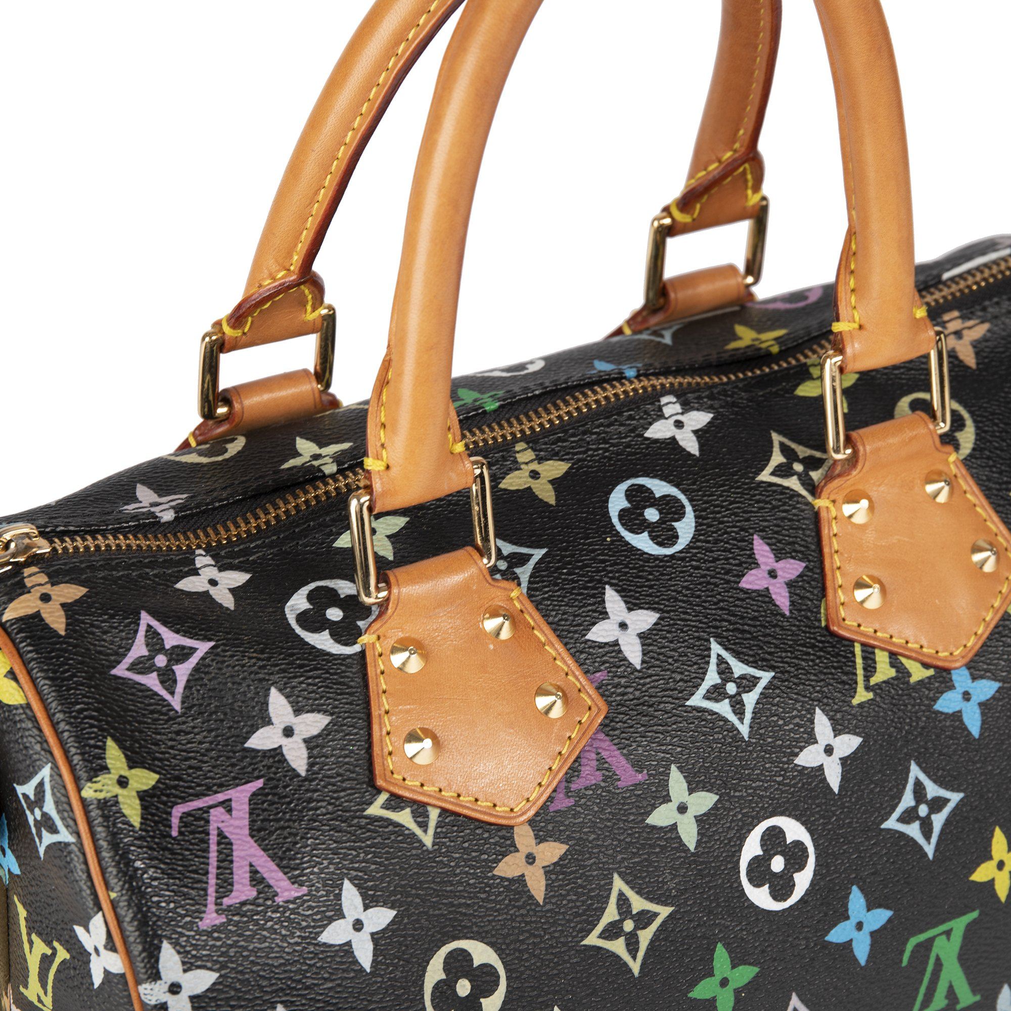 Louis Vuitton Multicolore Speedy 30