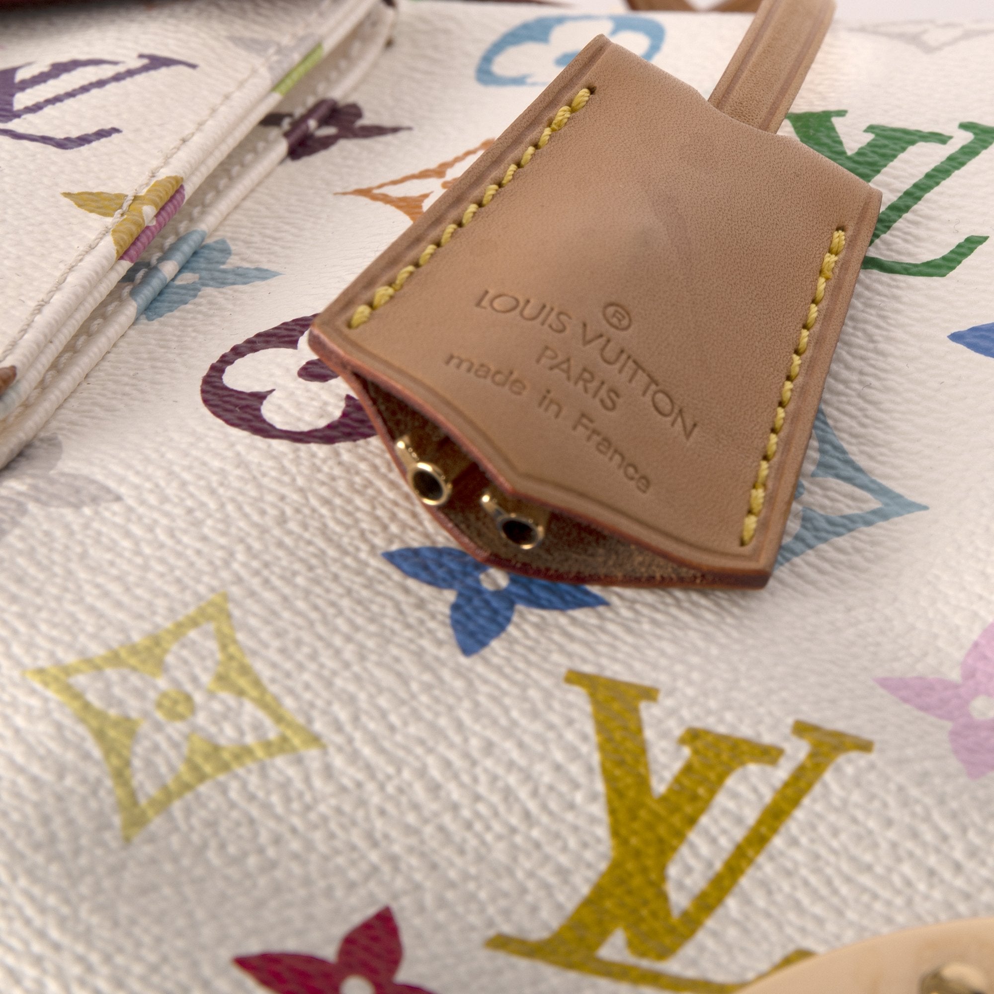 Louis Vuitton Multicolore Speedy 30