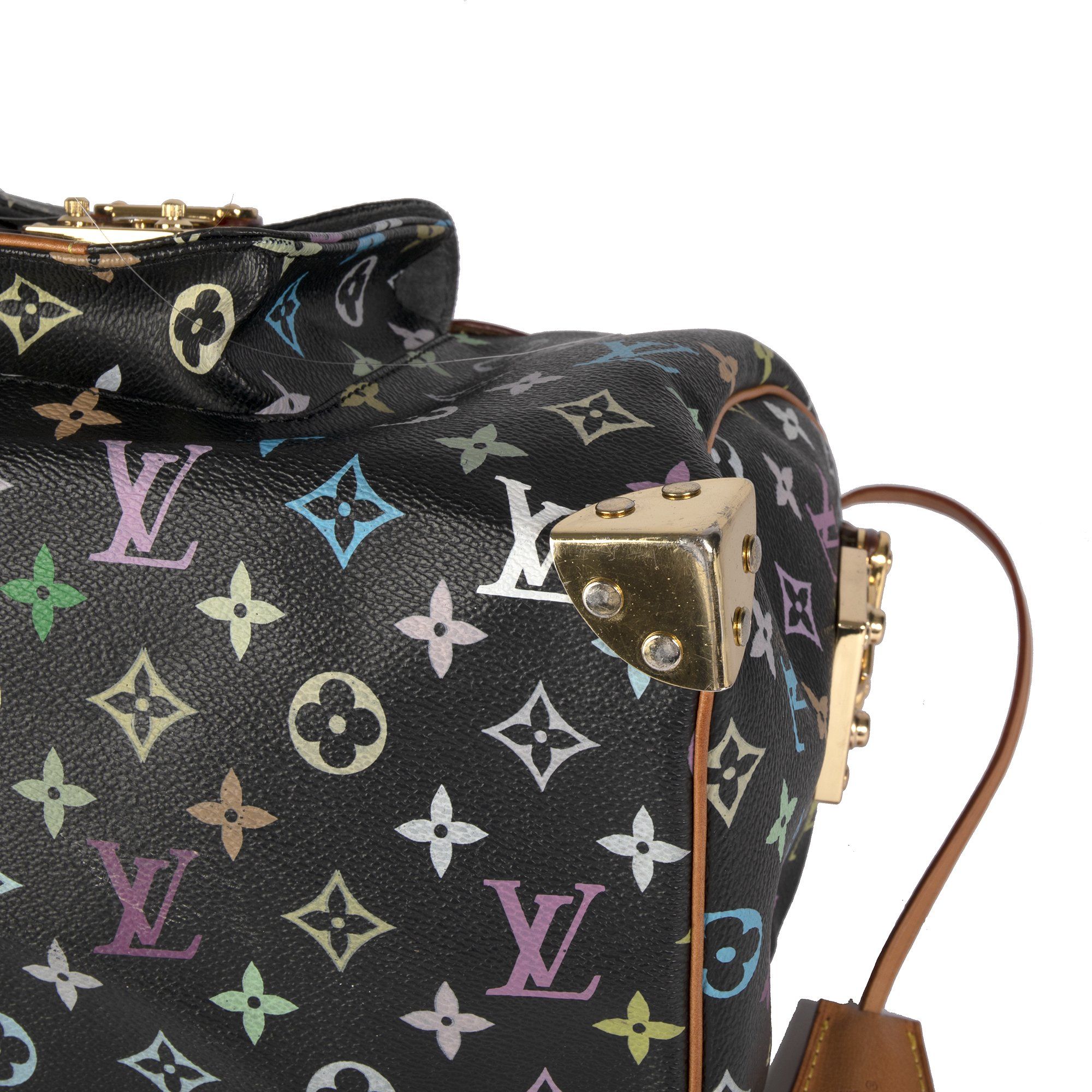 Louis Vuitton Multicolore Speedy 30