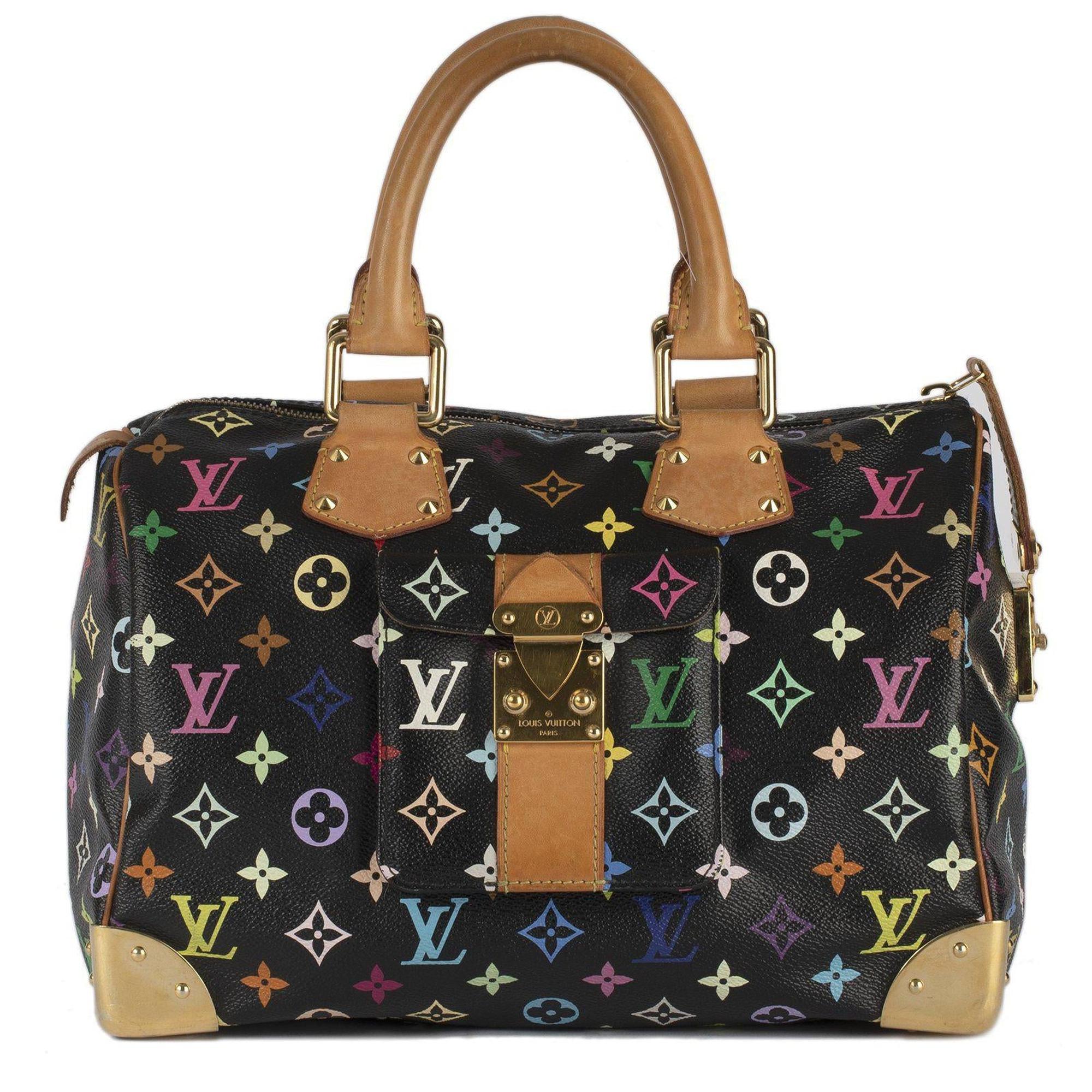 Louis Vuitton Multicolore Speedy 30