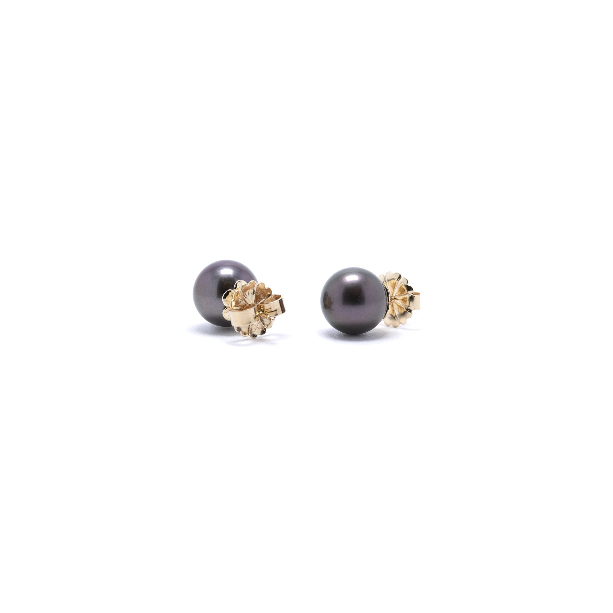 South Sea Pearl Stud Earrings