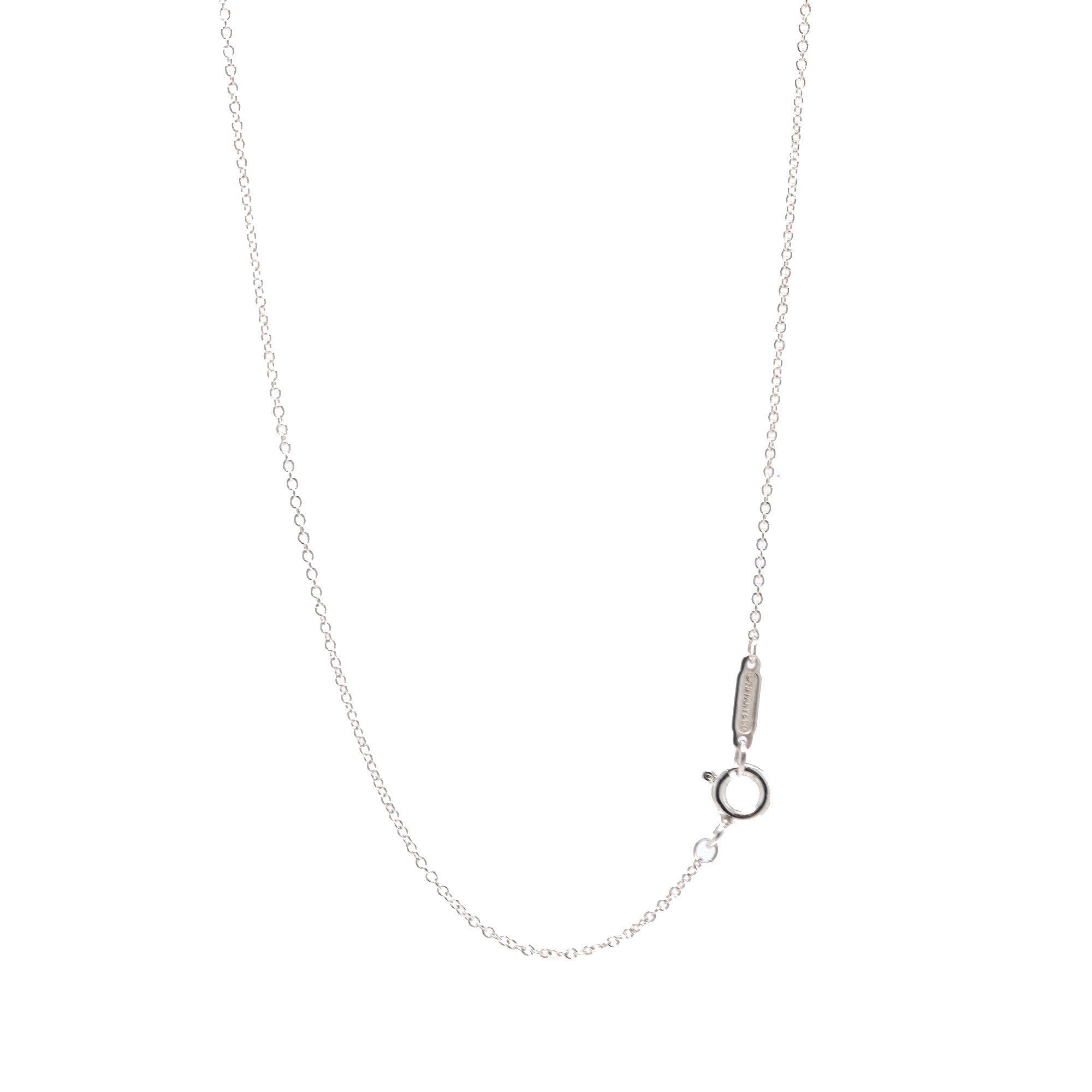 Tiffany & Co. 1837 Interlocking Circles Pendant Necklace