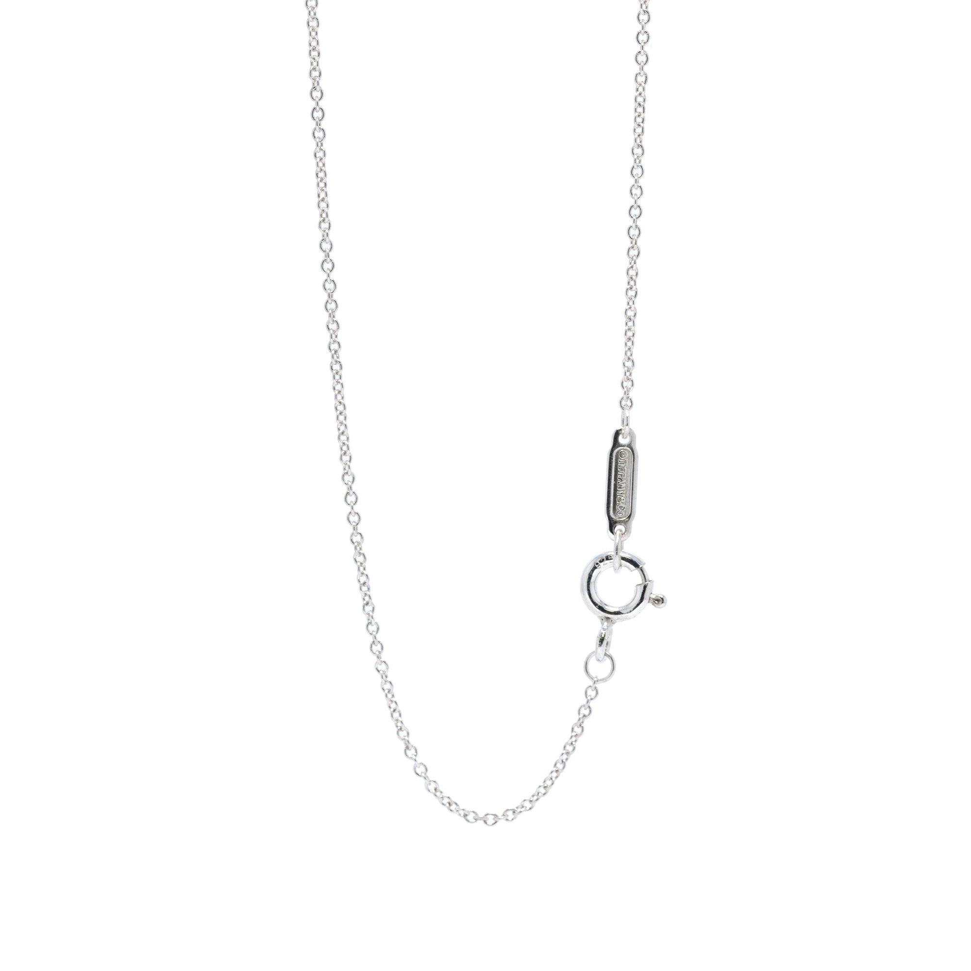 Tiffany & Co. 1837 Interlocking Circles Pendant Necklace
