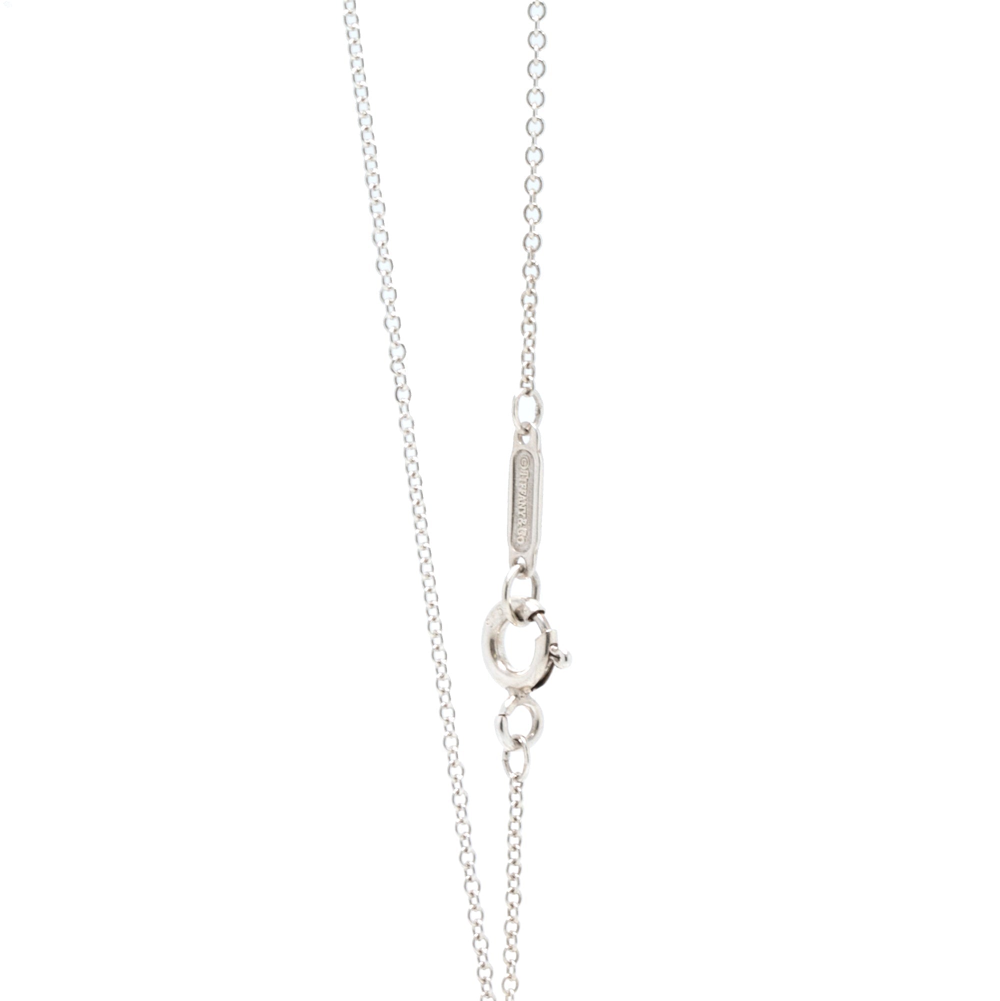 Tiffany & Co. Large 1837 Circle Pendant Necklace