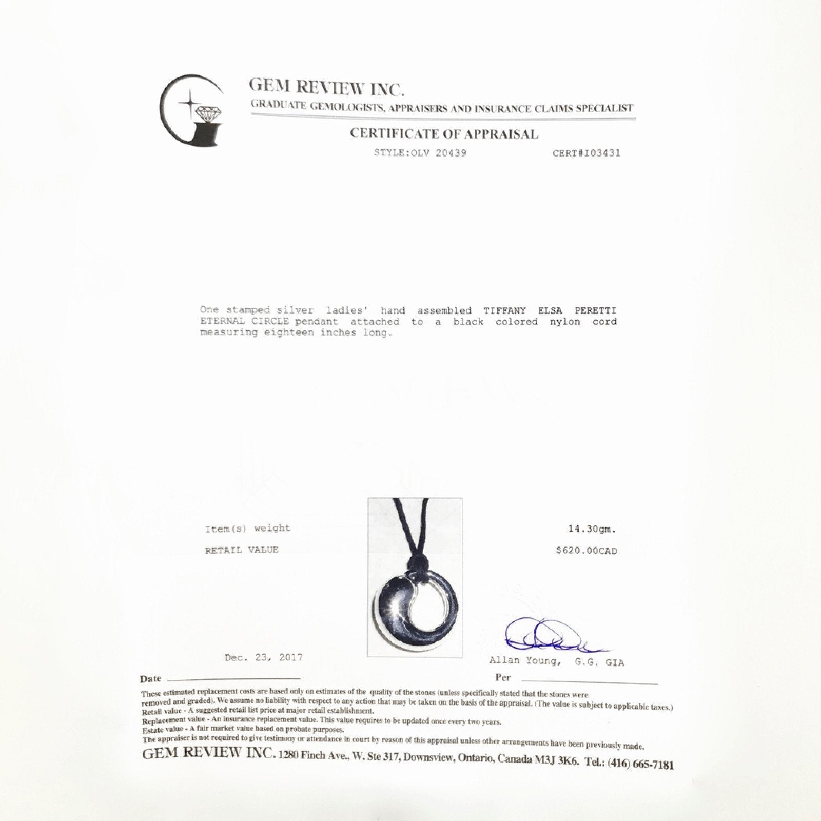 Tiffany & Co. Large Eternal Circle Pendant Necklace
